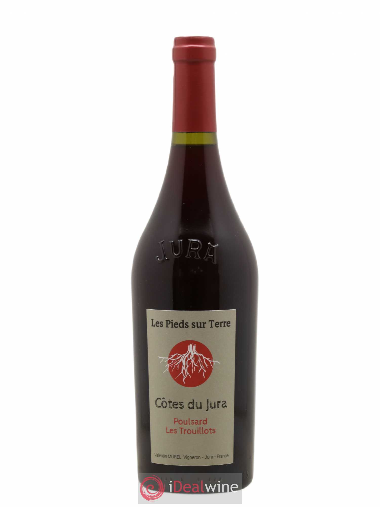 Côtes du Jura Poulsard Trouillots Valentin Morel Les Pieds sur Terre 2020 - Posten von 1 Flasche - 0