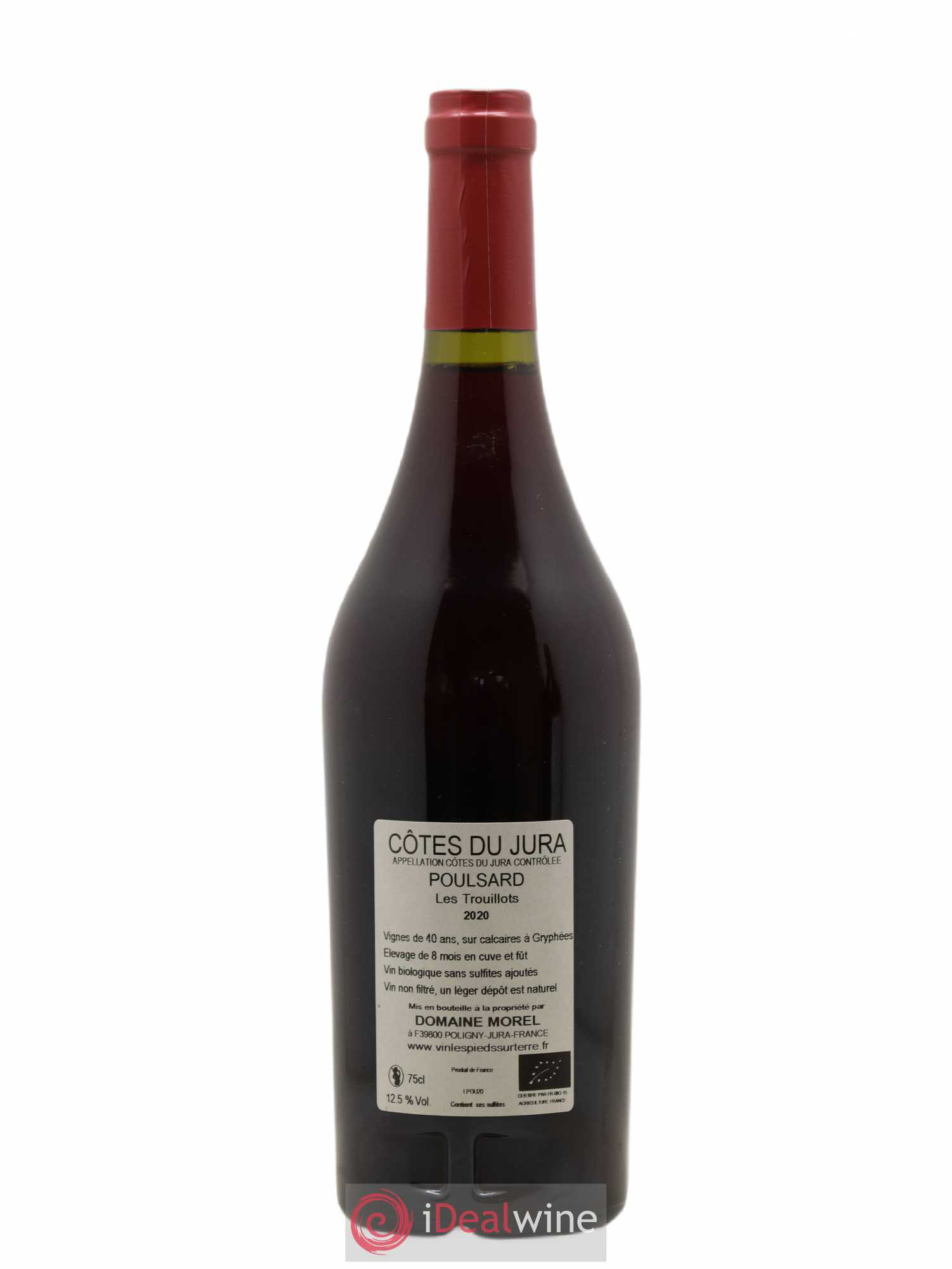 Côtes du Jura Poulsard Trouillots Valentin Morel Les Pieds sur Terre 2020 - Posten von 1 Flasche - 1