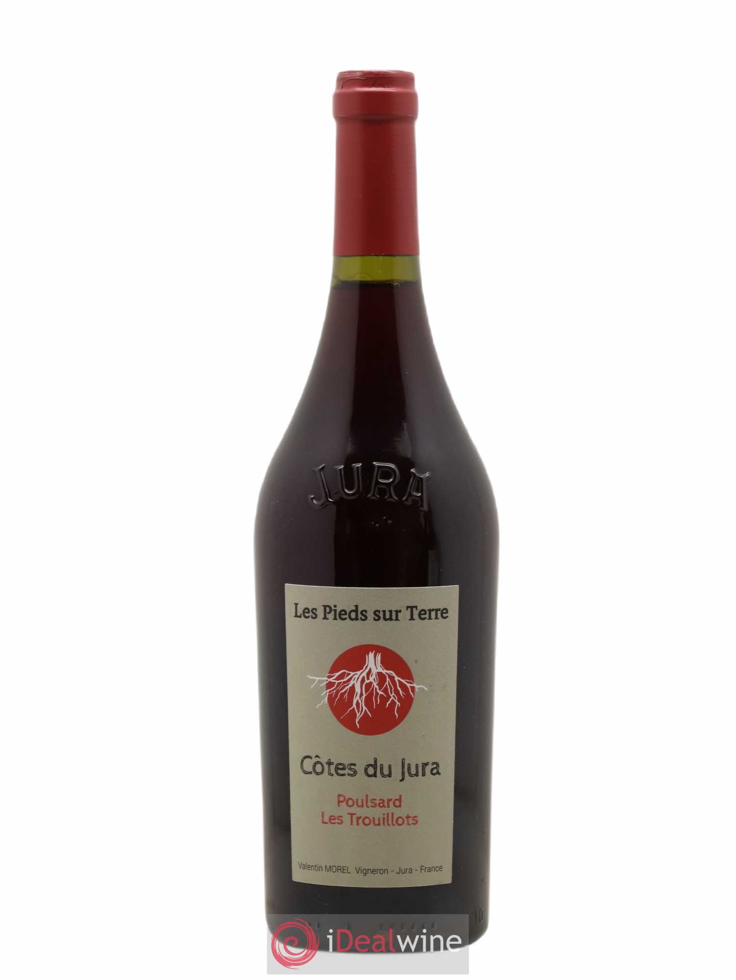 Côtes du Jura Poulsard Trouillots Valentin Morel Les Pieds sur Terre 2020 - Posten von 1 Flasche - 0