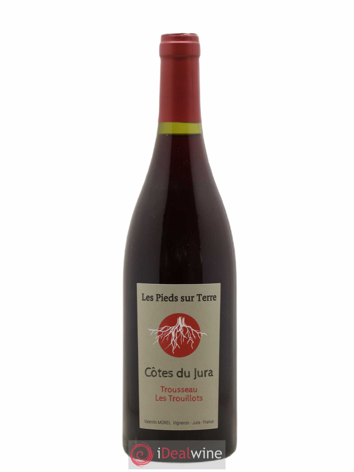 Côtes du Jura Trousseau Trouillots Valentin Morel Les Pieds sur Terre 2020 - Posten von 1 Flasche - 0