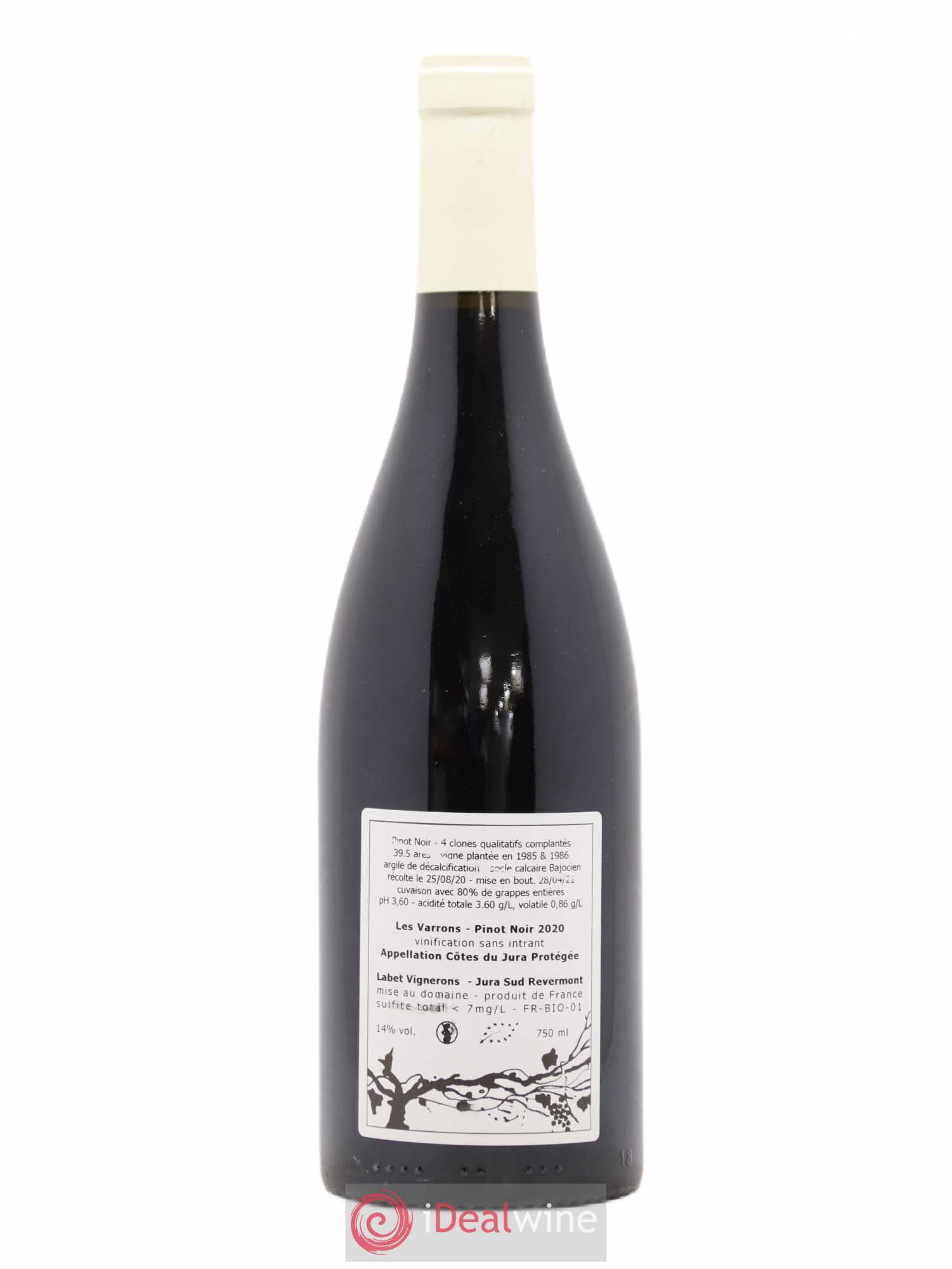Côtes du Jura Pinot Noir Les Varrons Sélection Massale Romain - Julien  - Charline Labet 2020 - Lot de 1 bouteille - 1
