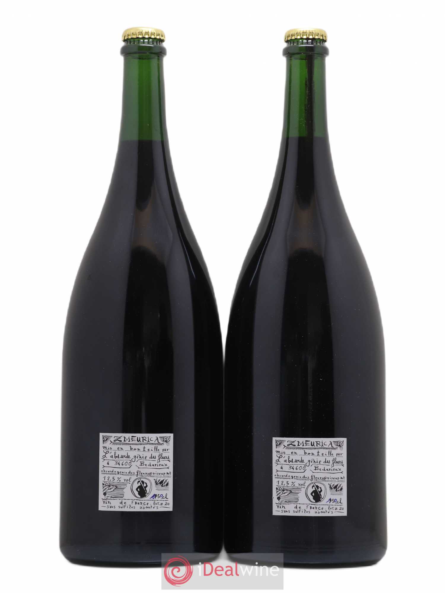 Vin de France Zmeurica L'Absurde génie des fleurs 2020 - Posten von 2 Magnum - 1