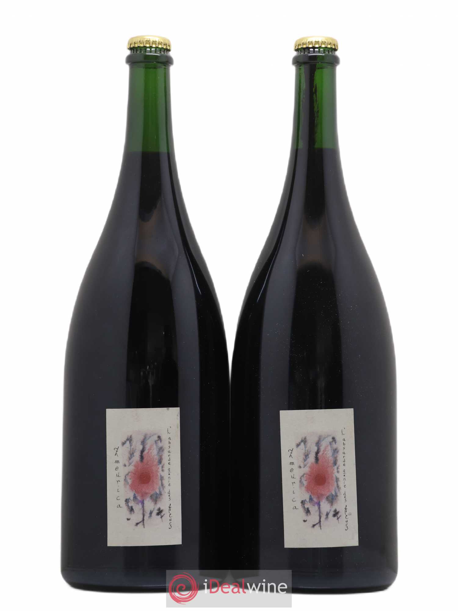Vin de France Zmeurica L'Absurde génie des fleurs 2020 - Posten von 2 Magnum - 0