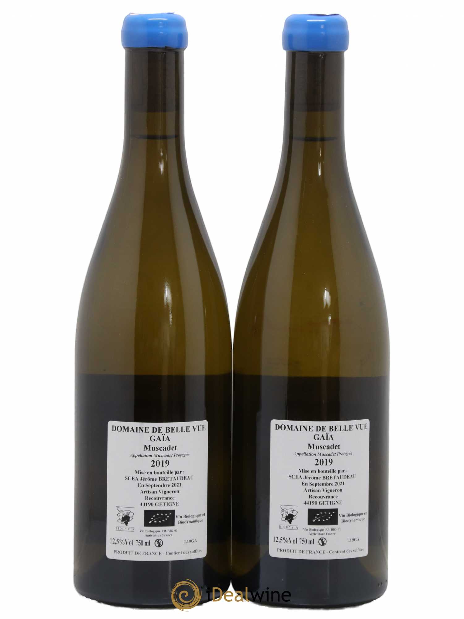 Muscadet-Sèvre-et-Maine Gaia Jérôme Bretaudeau - Domaine de Bellevue 2019 - Lot de 2 bouteilles - 1