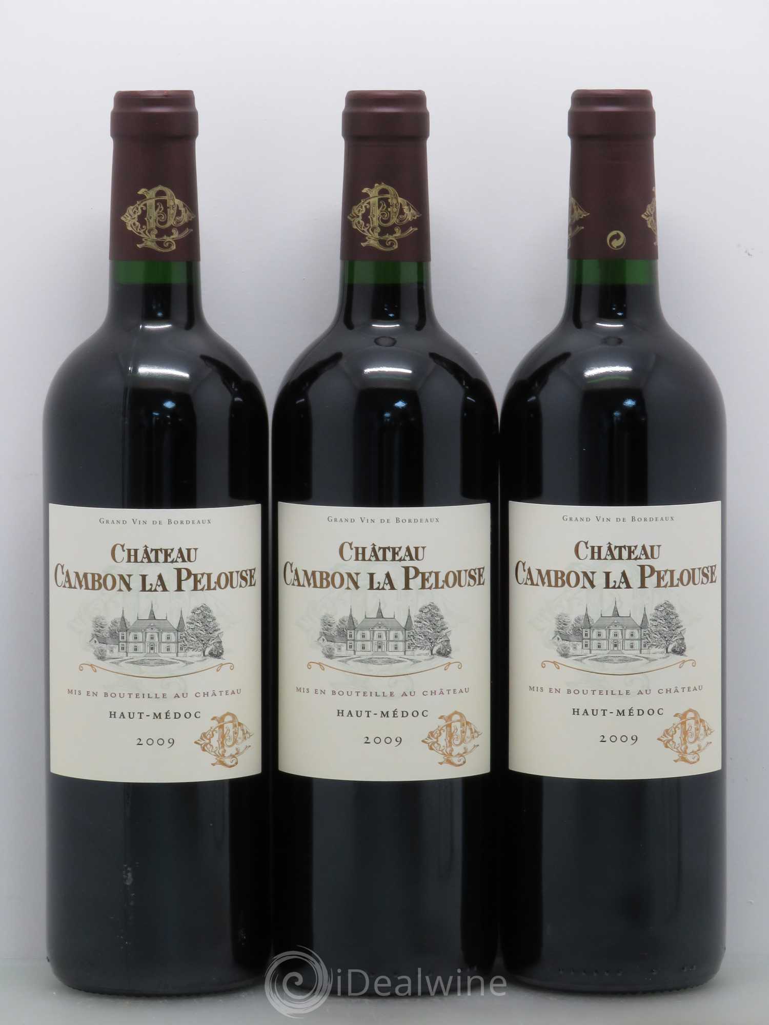 Château Cambon la Pelouse Cru Bourgeois 2009 - Lot de 6 bouteilles - 2