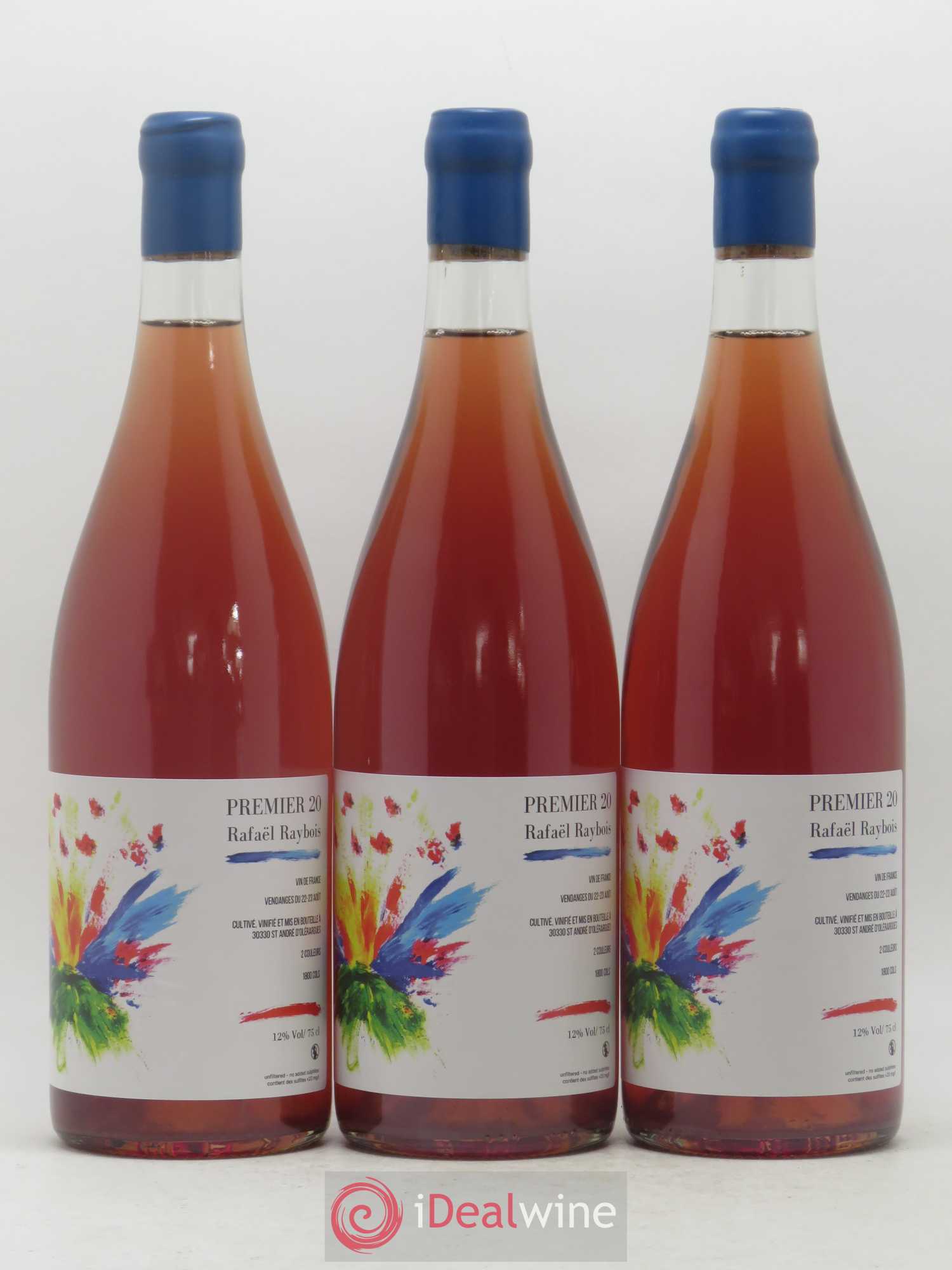 Vin de France Vin de France 1er 20 Domaine Rafaël Raybois (sans prix de réserve) 2020 - Lotto di 6 bottiglie - 1