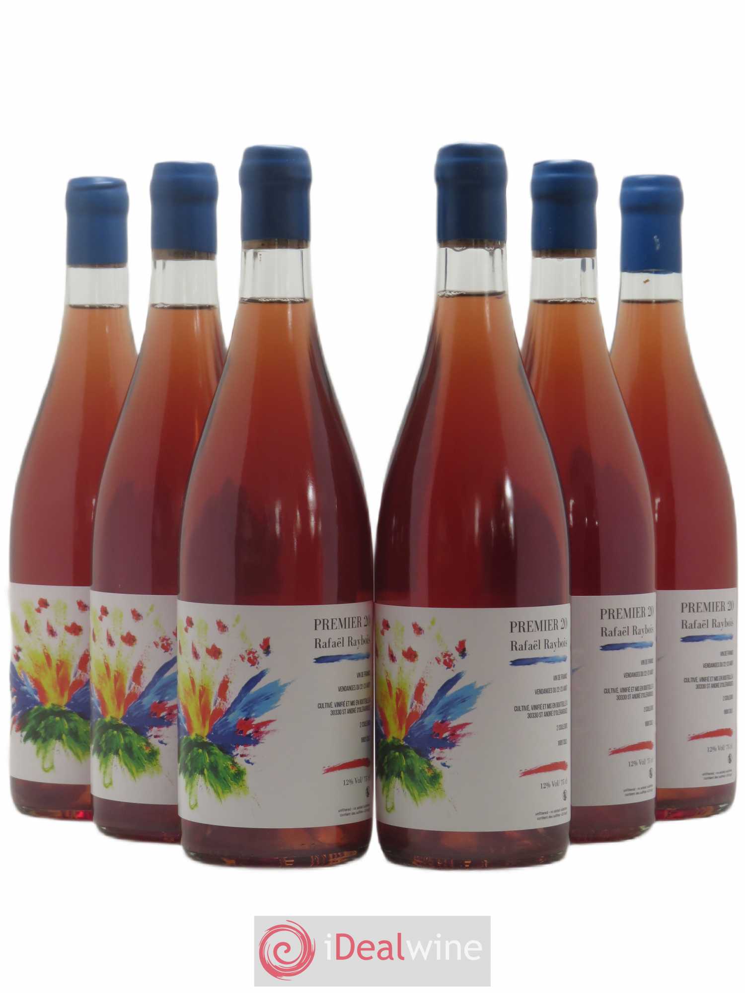 Vin de France Vin de France 1er 20 Domaine Rafaël Raybois (sans prix de réserve) 2020 - Lotto di 6 bottiglie - 0