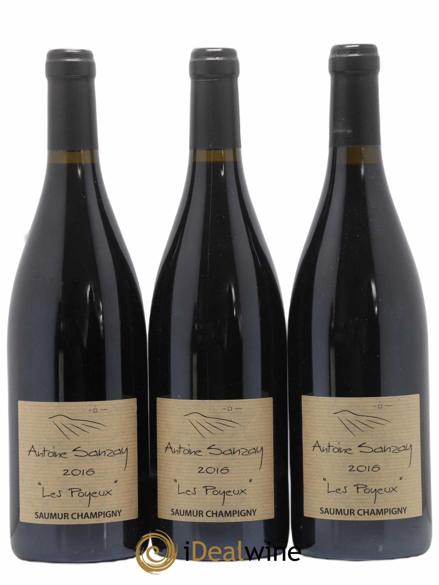 Saumur-Champigny Les Poyeux Antoine Sanzay 2016 - Lot de 3 bouteilles - 0