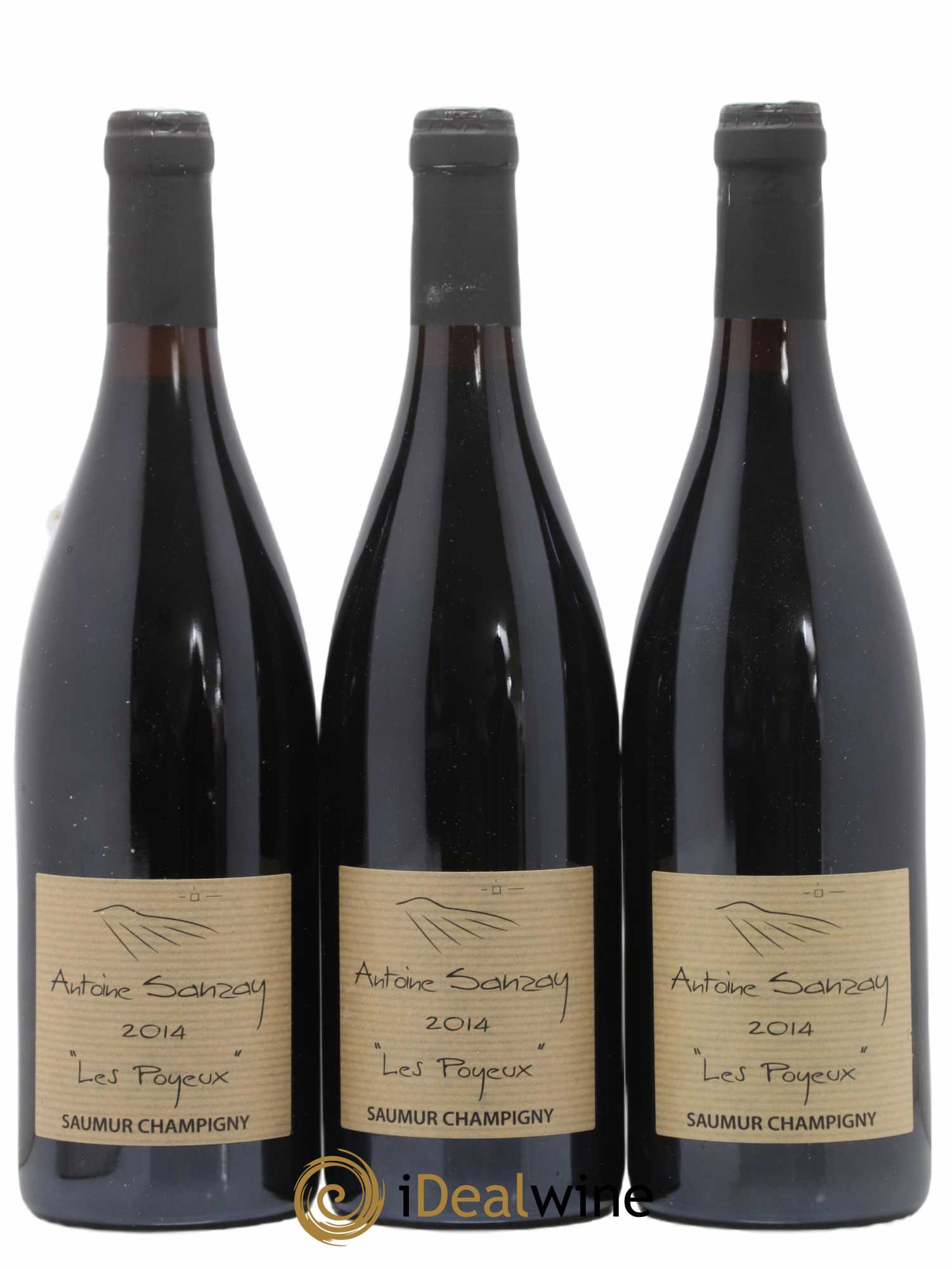 Saumur-Champigny Les Poyeux Antoine Sanzay 2014 - Lot de 3 bouteilles - 0