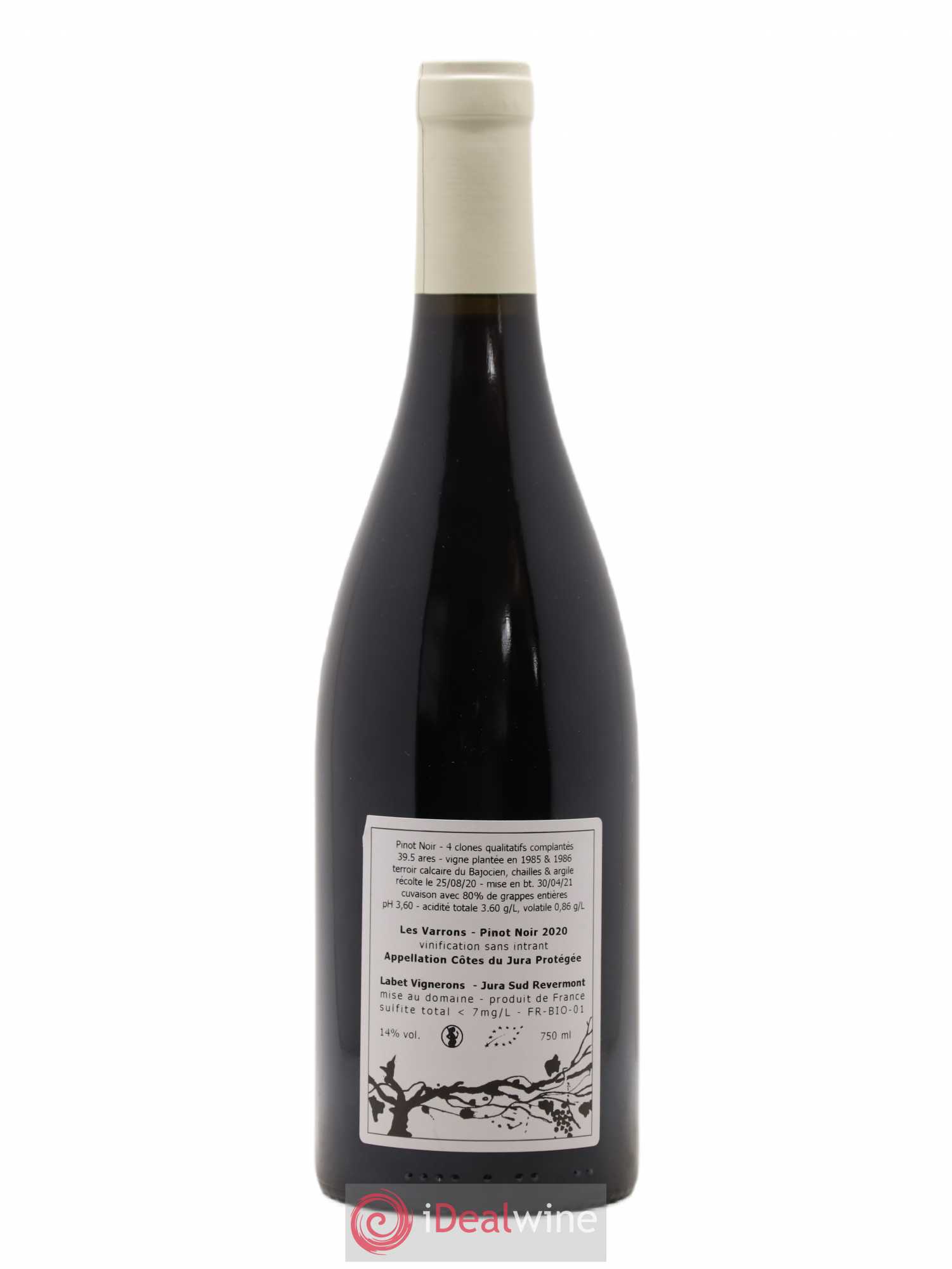 Côtes du Jura Pinot Noir Les Varrons Sélection Massale Romain - Julien  - Charline Labet 2020 - Lot de 1 bouteille - 1