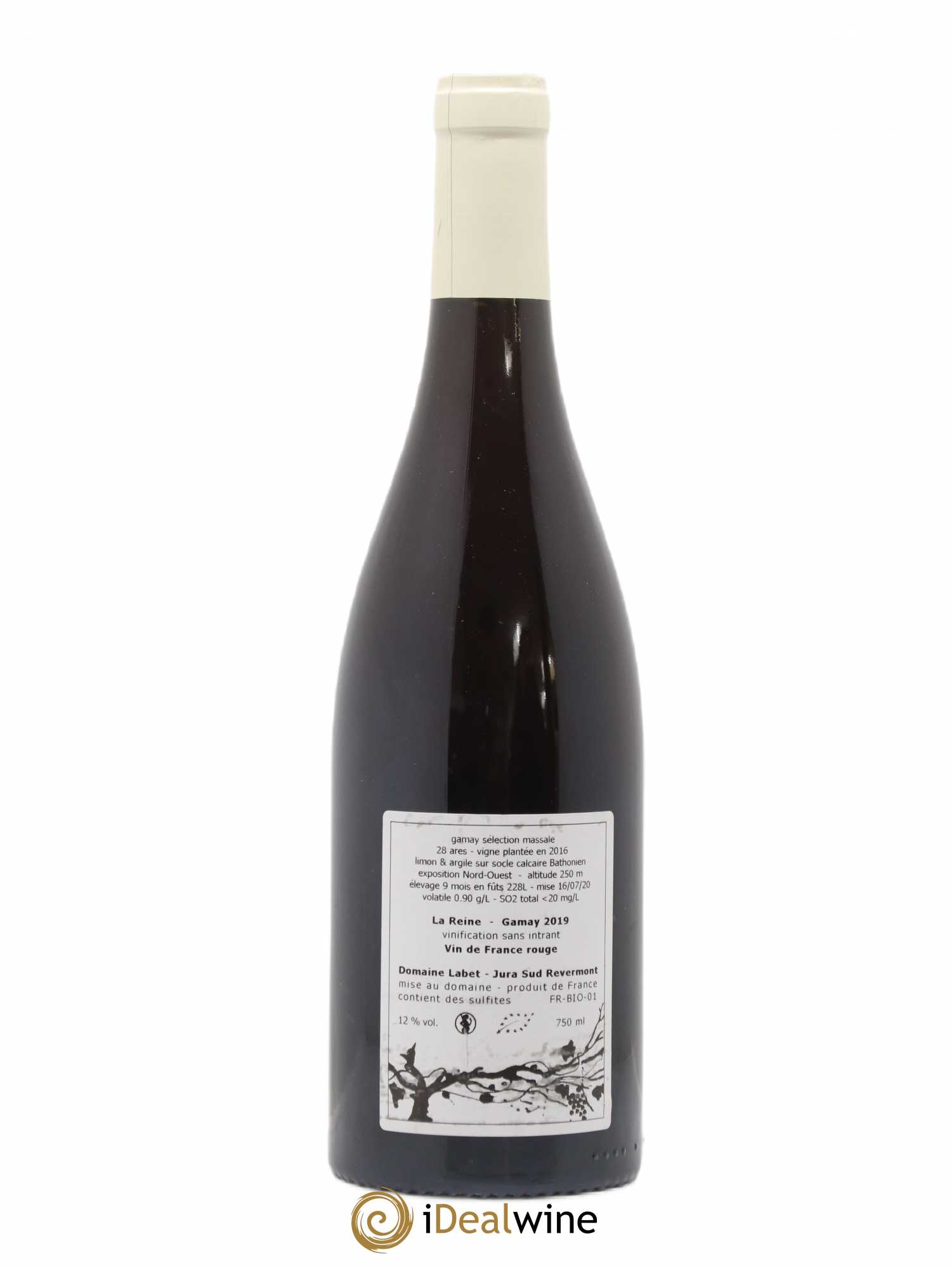 Vin de France Gamay La Reine Labet (Domaine) 2019 - Lot de 1 bouteille - 1