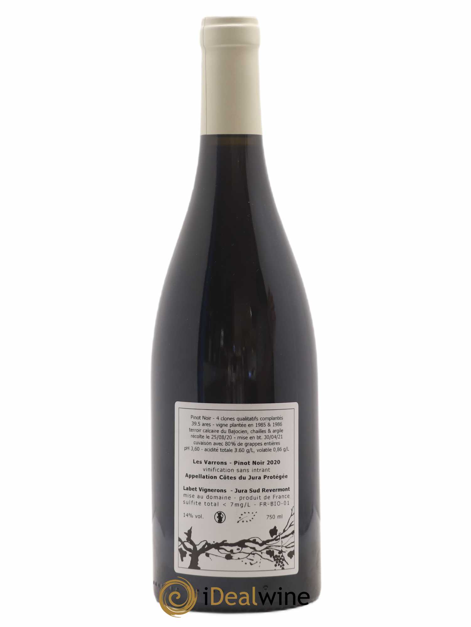 Côtes du Jura Pinot Noir Les Varrons Sélection Massale Romain - Julien - Charline Labet 2020 - Lot de 1 bouteille - 1