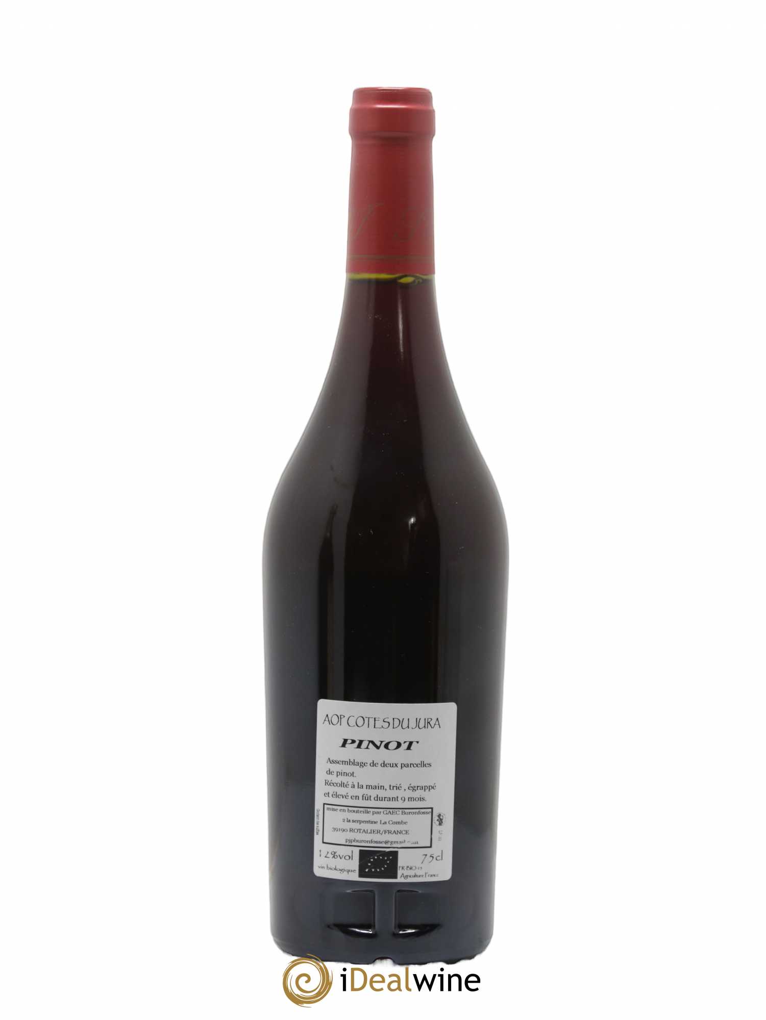 Côtes du Jura Pinot Buronfosse 2019 - Lot de 1 bouteille - 1