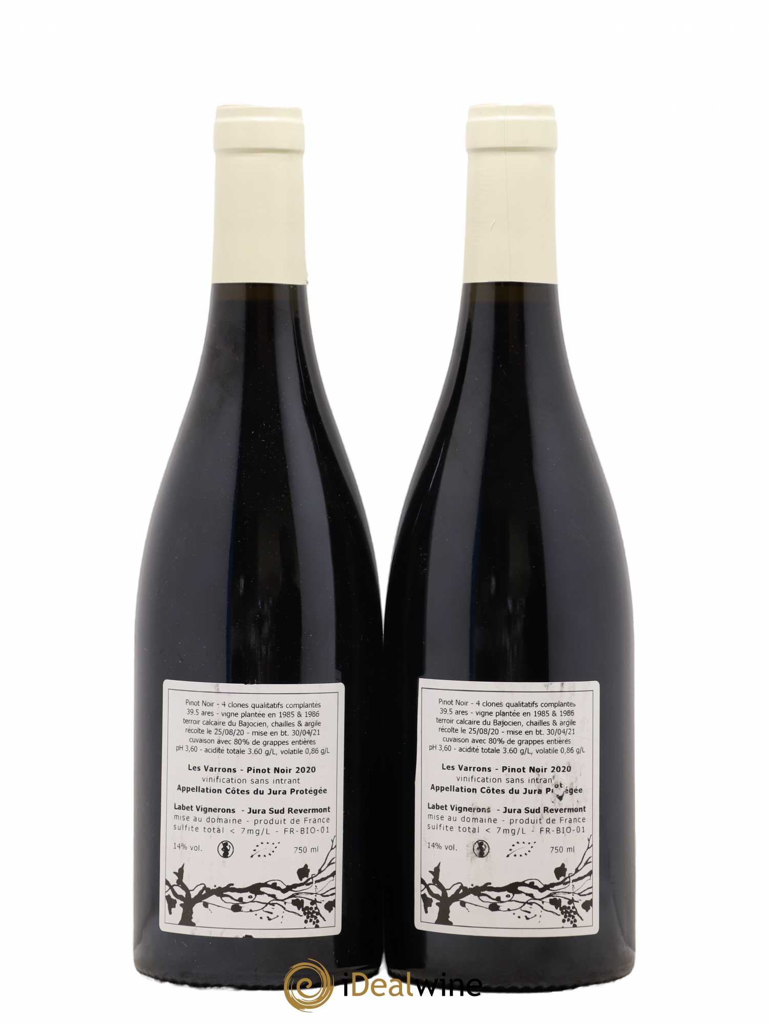 Côtes du Jura Pinot Noir Les Varrons Sélection Massale Romain - Julien - Charline Labet 2020 - Lot de 2 bouteilles - 1