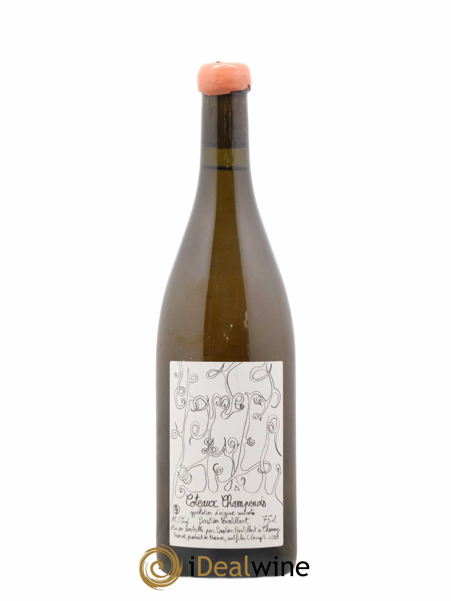 Coteaux Champenois Domaine Bastien Pointillard 2019 - Posten von 1 Flasche - 0