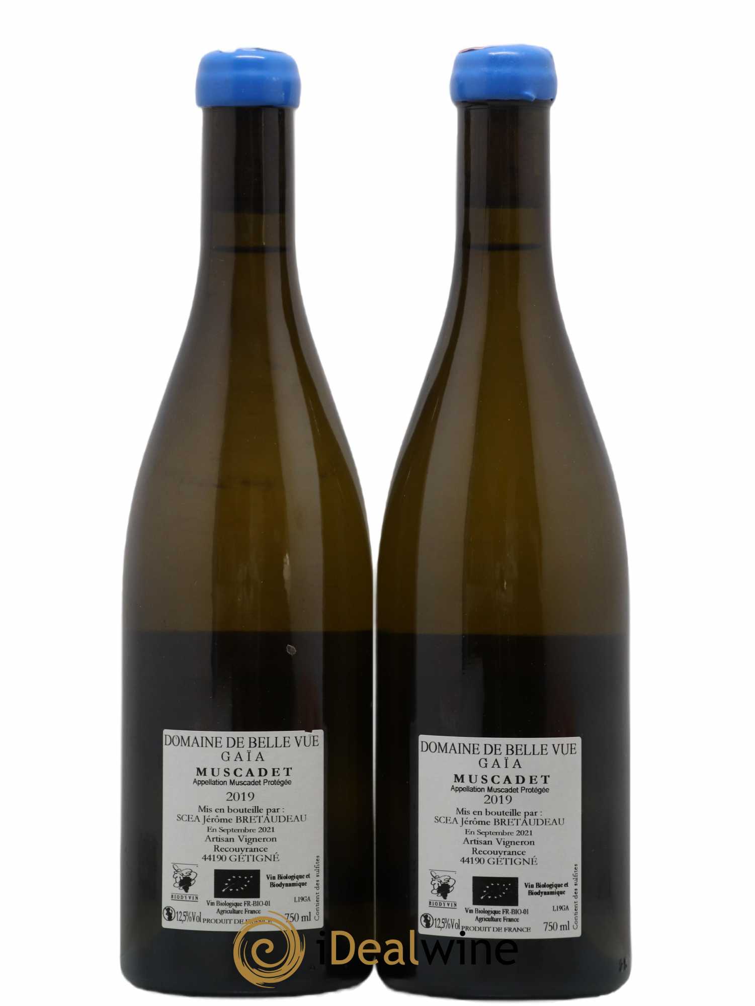 Muscadet-Sèvre-et-Maine Gaia Jérôme Bretaudeau - Domaine de Bellevue 2019 - Lot de 2 bouteilles - 1