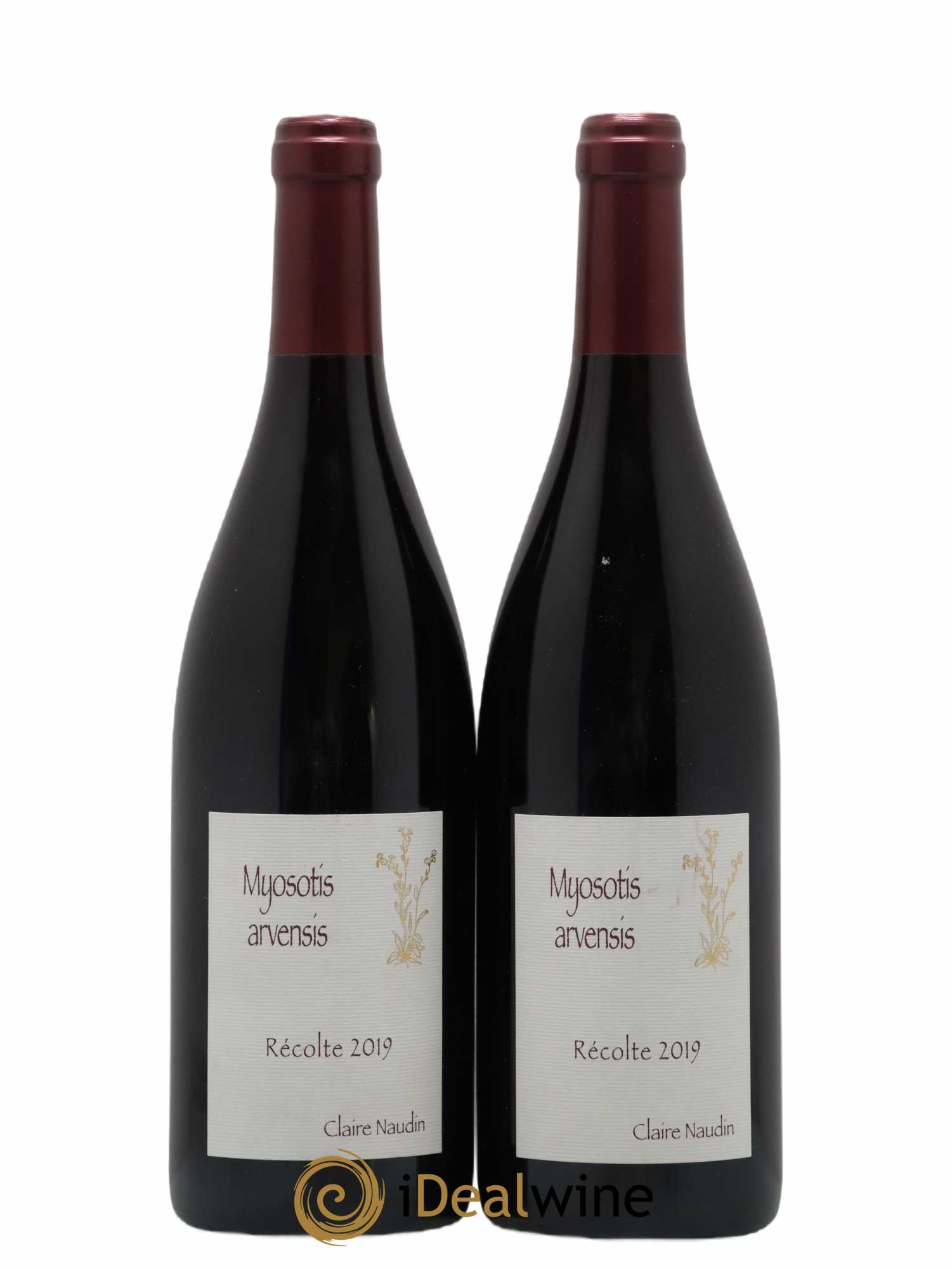 Hautes-Côtes de Nuits Myosotis Arvensis Naudin-Ferrand (Domaine) 2019 - Lot de 2 bouteilles - 0