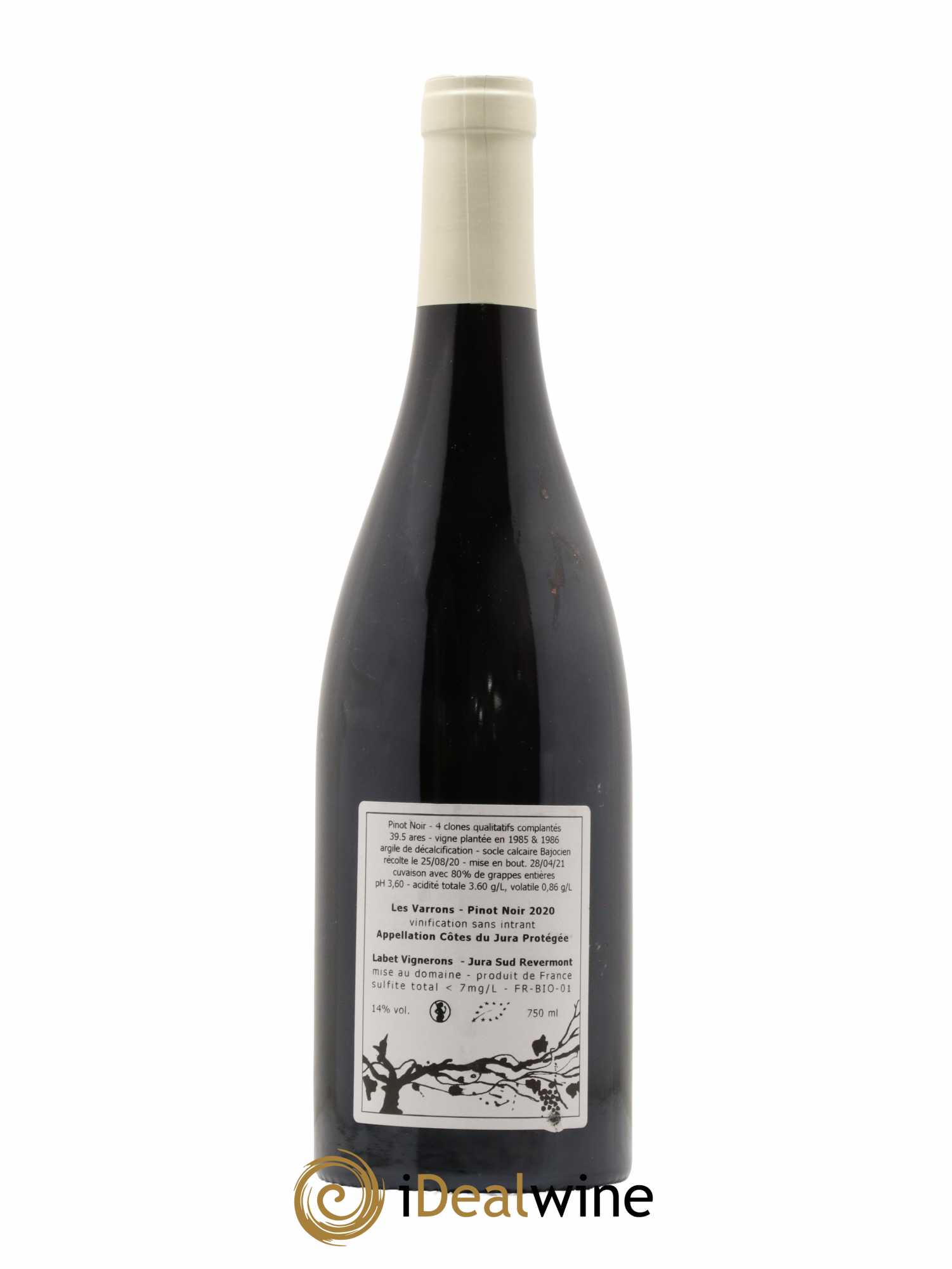 Côtes du Jura Pinot Noir Les Varrons Sélection Massale Romain - Julien  - Charline Labet 2020 - Lot of 1 bottle - 1