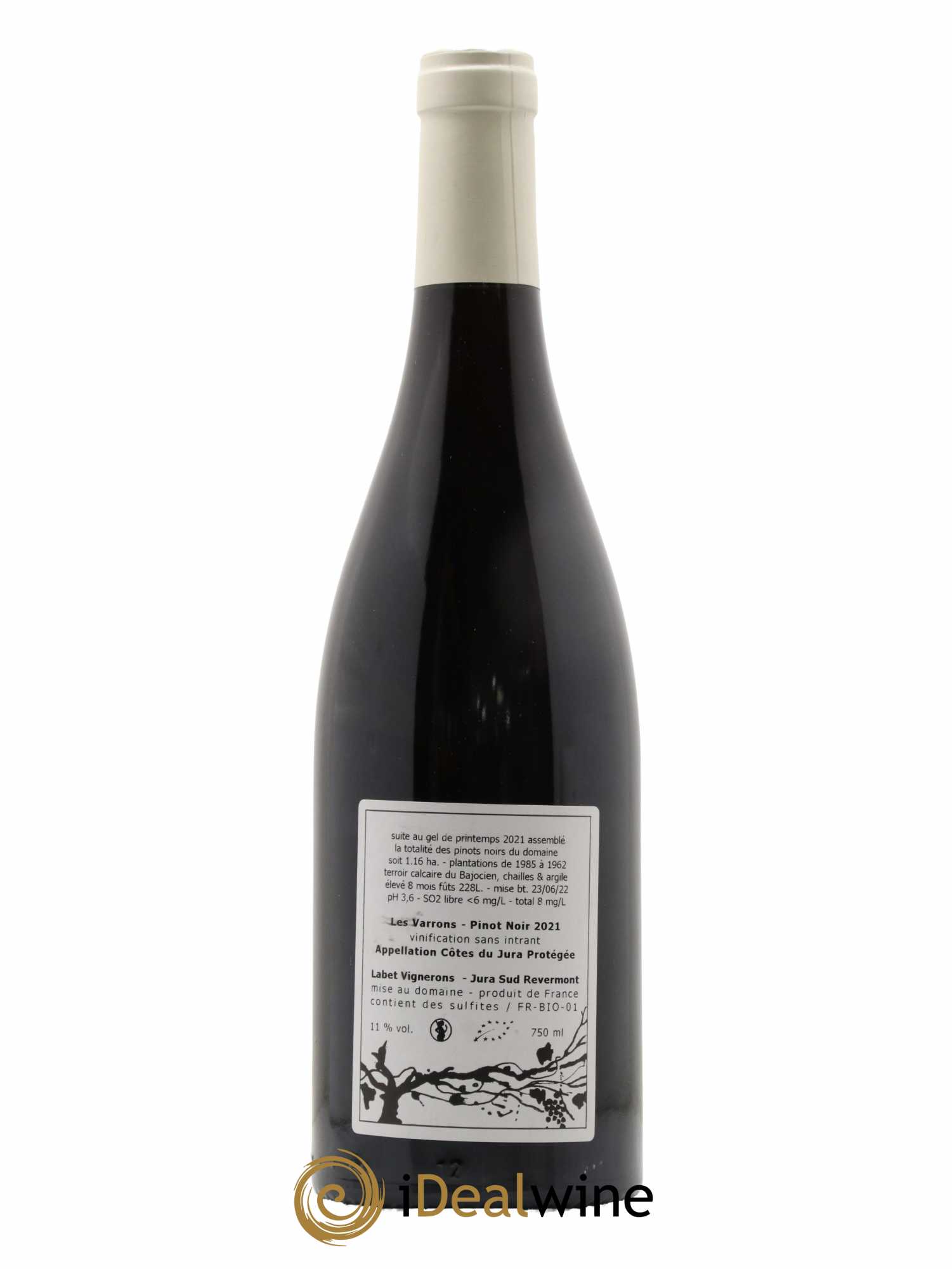 Côtes du Jura Pinot Noir Les Varrons Sélection Massale Romain - Julien - Charline Labet 2021 - Lot of 1 bottle - 1