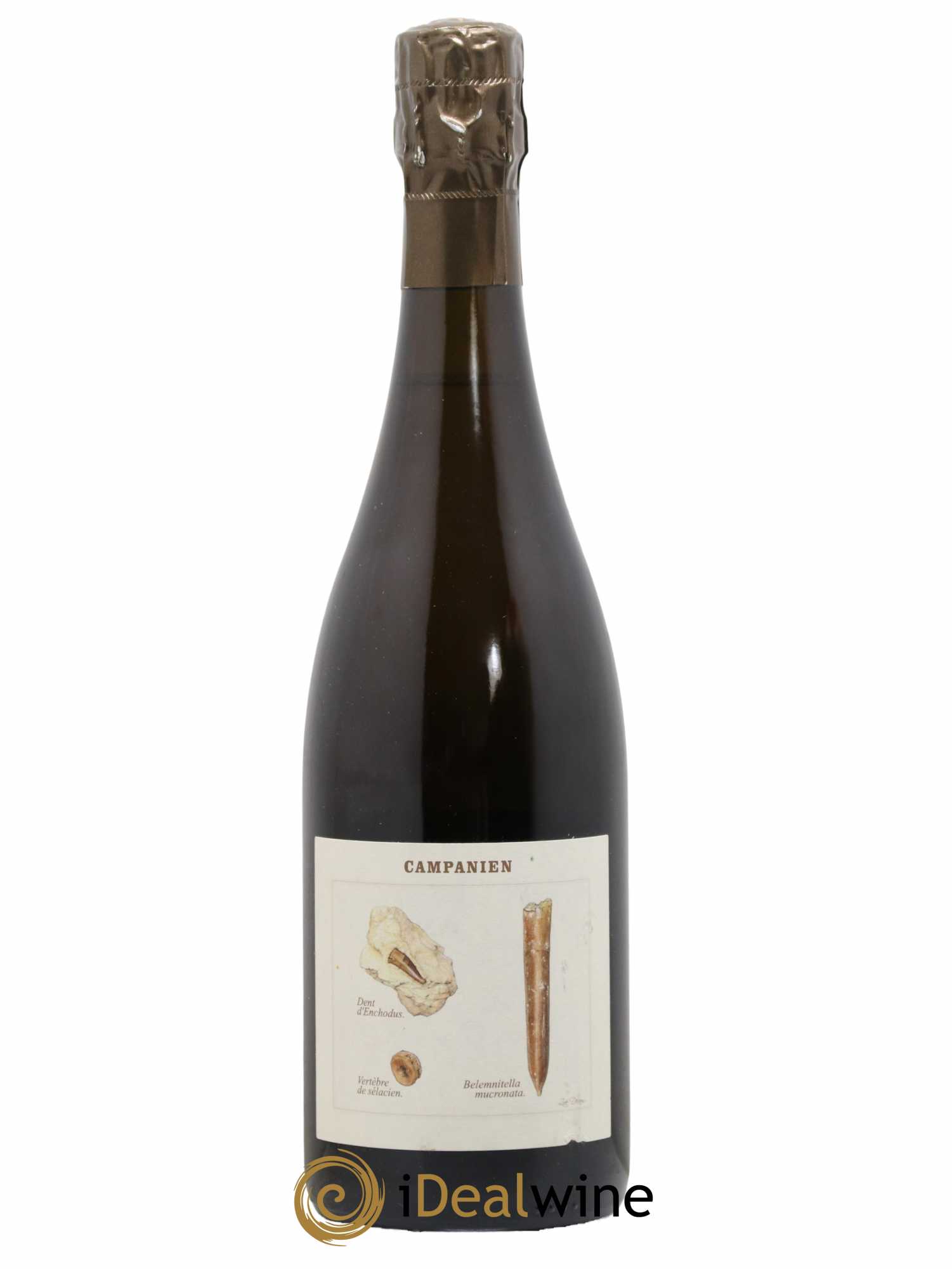 Champagne Campanien Legrand Latour 2018 - Lot de 1 bouteille - 0