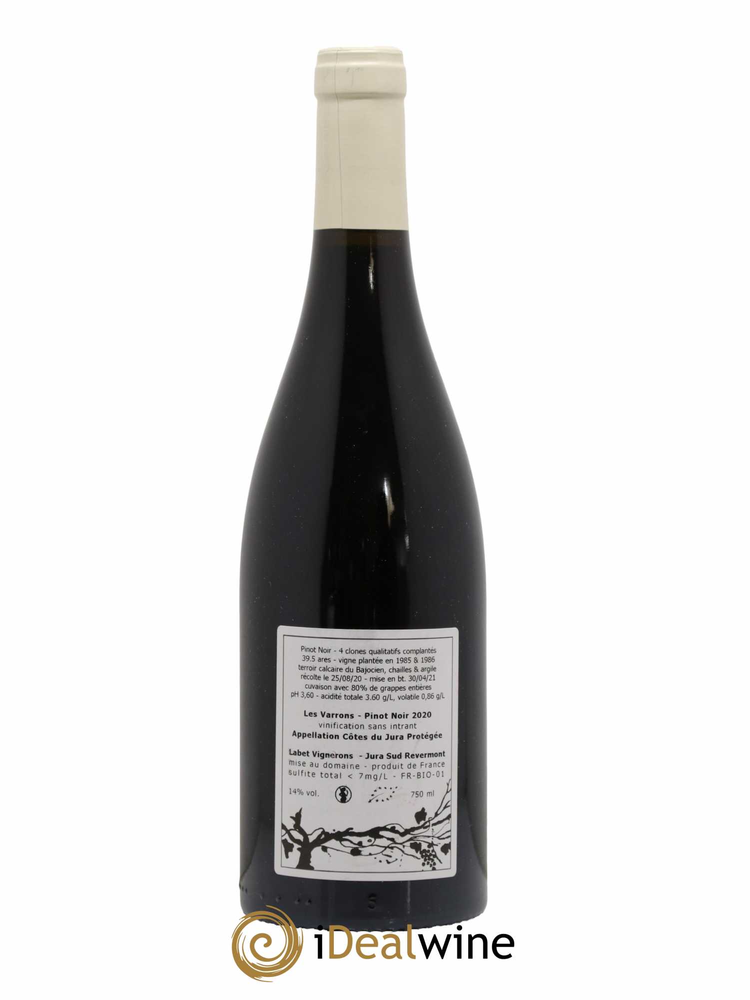 Côtes du Jura Pinot Noir Les Varrons Sélection Massale Romain - Julien - Charline Labet 2020 - Lot de 1 bouteille - 1