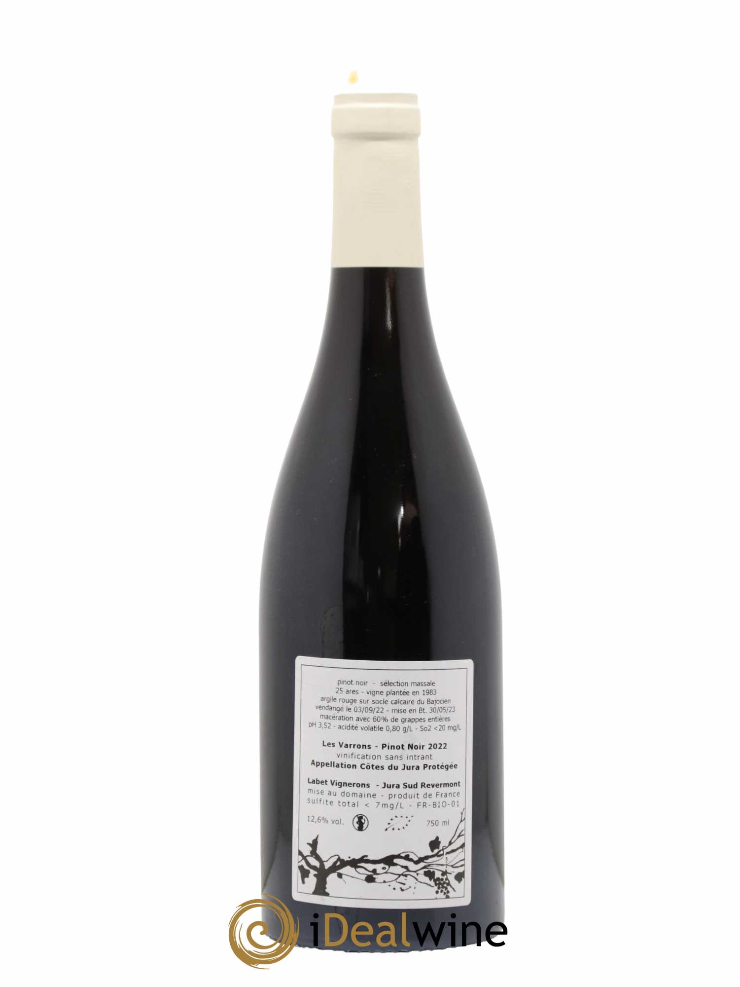 Côtes du Jura Pinot Noir Les Varrons Sélection Massale Romain - Julien - Charline Labet 2022 - Lot de 1 bouteille - 1