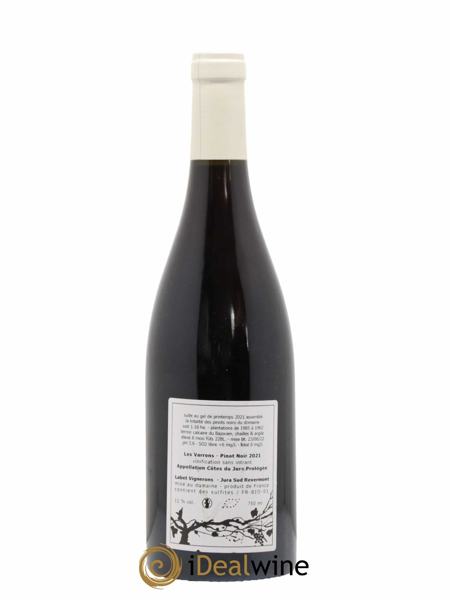 Côtes du Jura Pinot Noir Les Varrons Sélection Massale Romain - Julien - Charline Labet 2021 - Lot de 1 bouteille - 1
