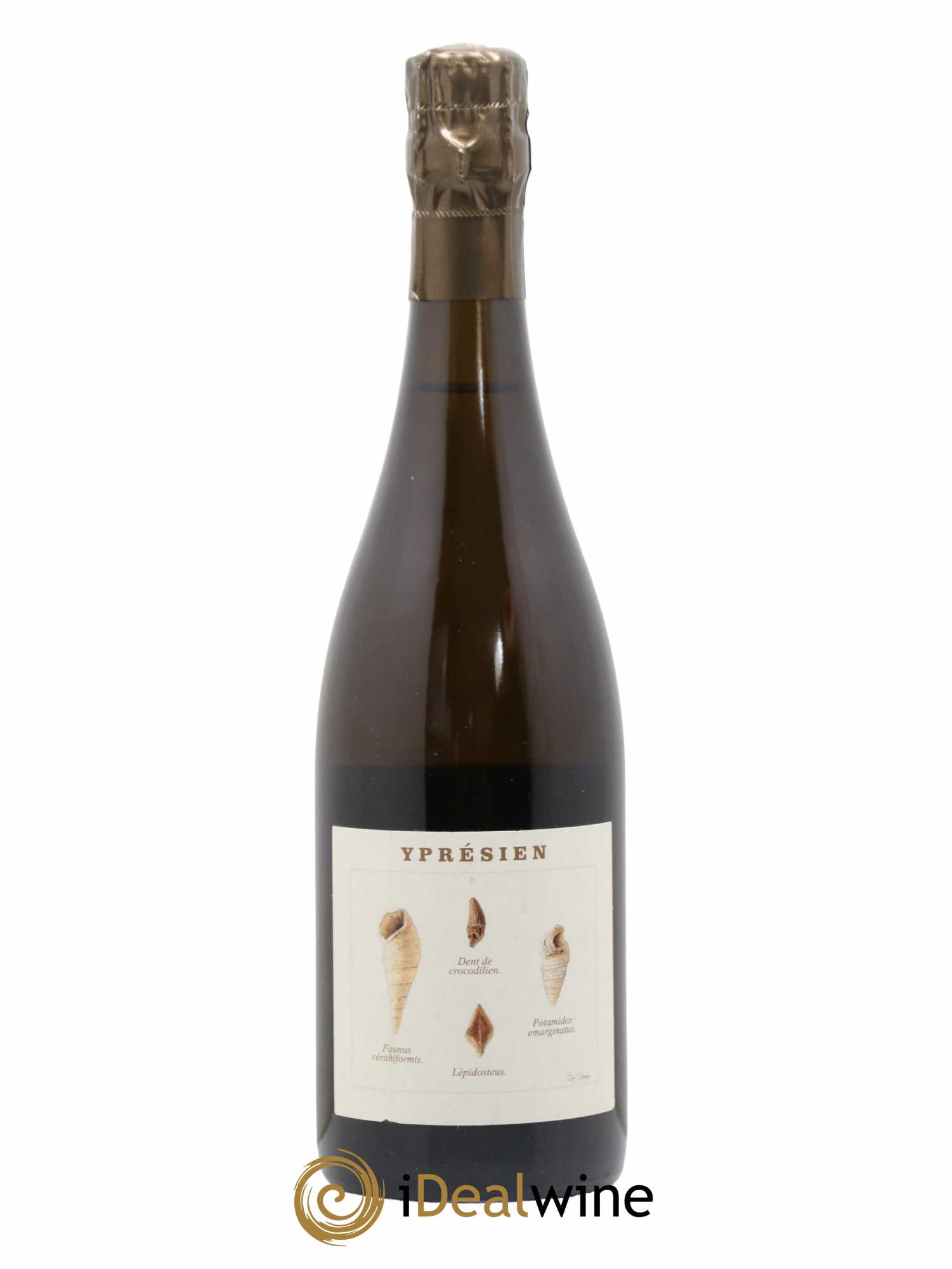 Champagne Yprésien Legrand Latour 2018 - Lot de 1 bouteille - 0