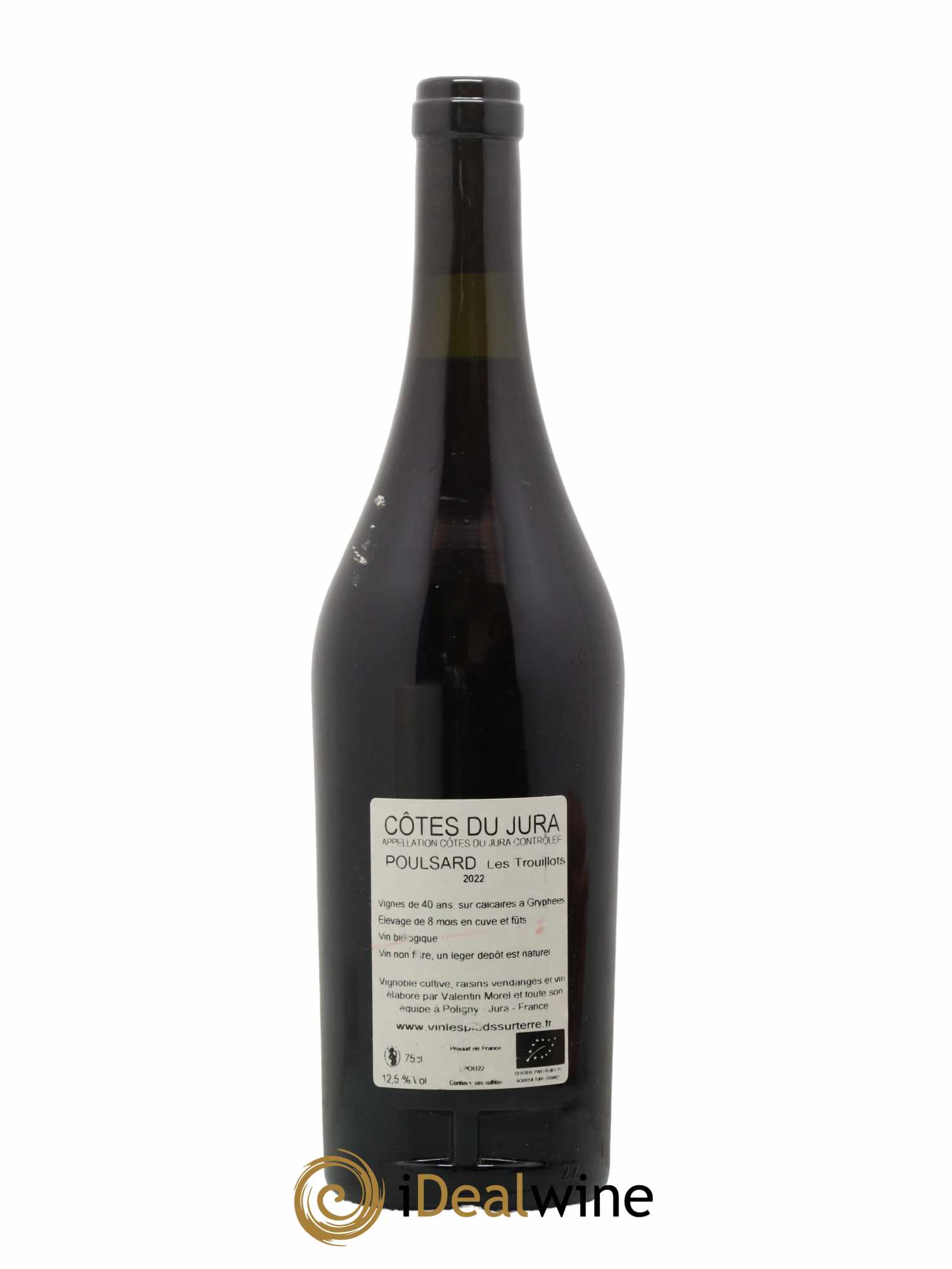 Côtes du Jura Les Pieds Sur Terre Poulsard Les Trouillots 2022 - Lot de 1 bouteille - 1