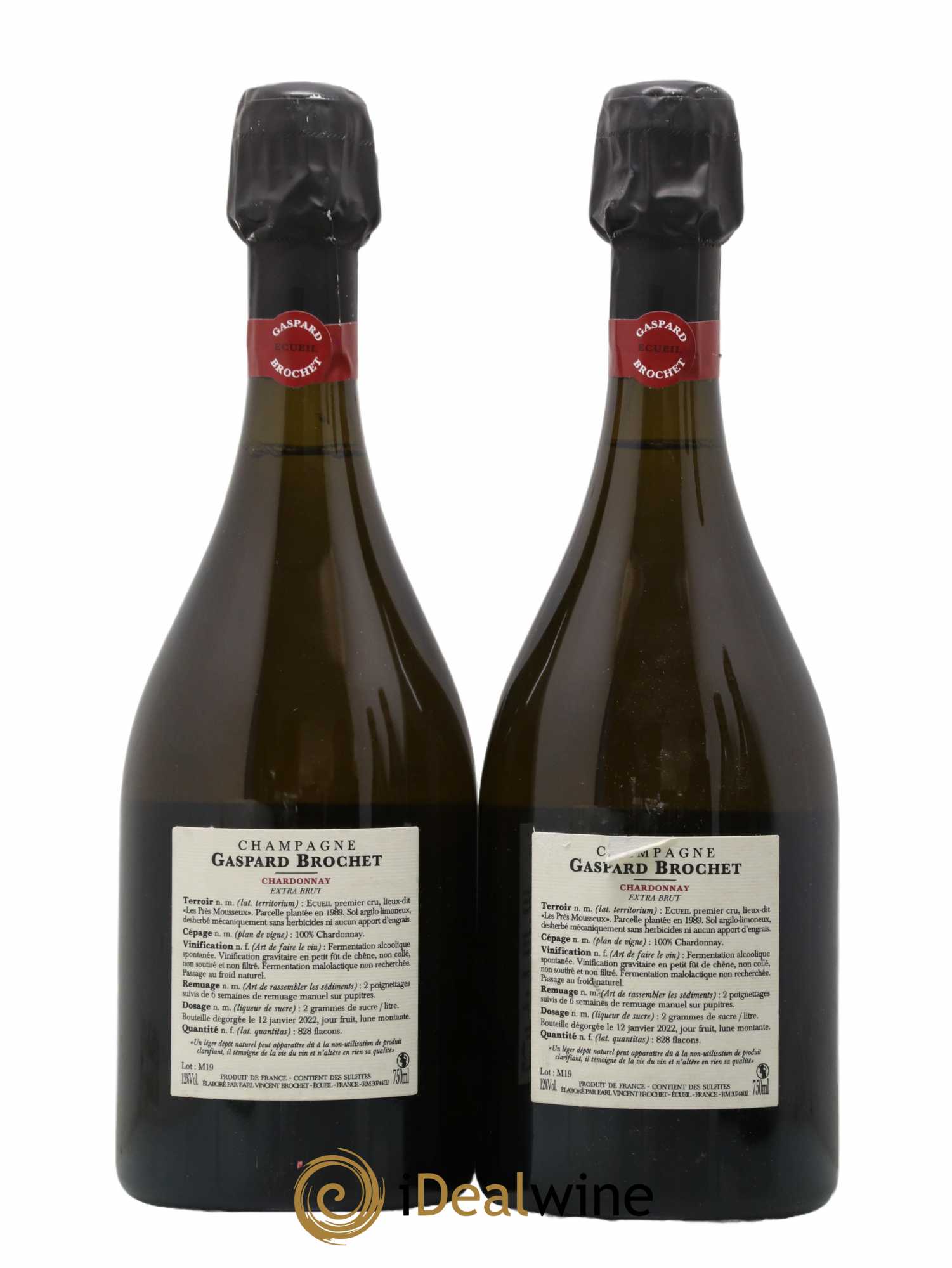 Champagne Extra Brut Chardonnay Tome II Gaspard Brochet - Lot de 2 bouteilles - 1