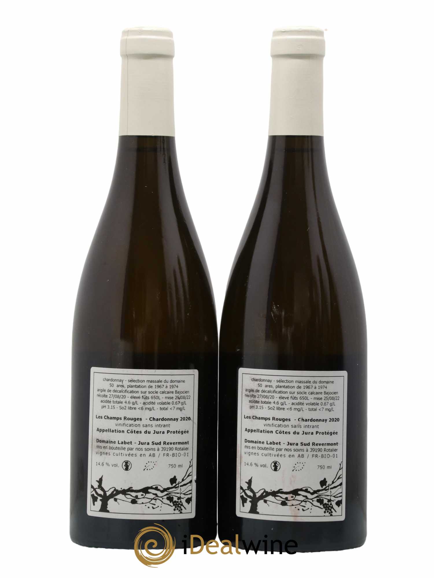 Côtes du Jura Chardonnay Les Champs Rouges Romain - Julien - Charline Labet 2020 - Lot de 2 bouteilles - 1