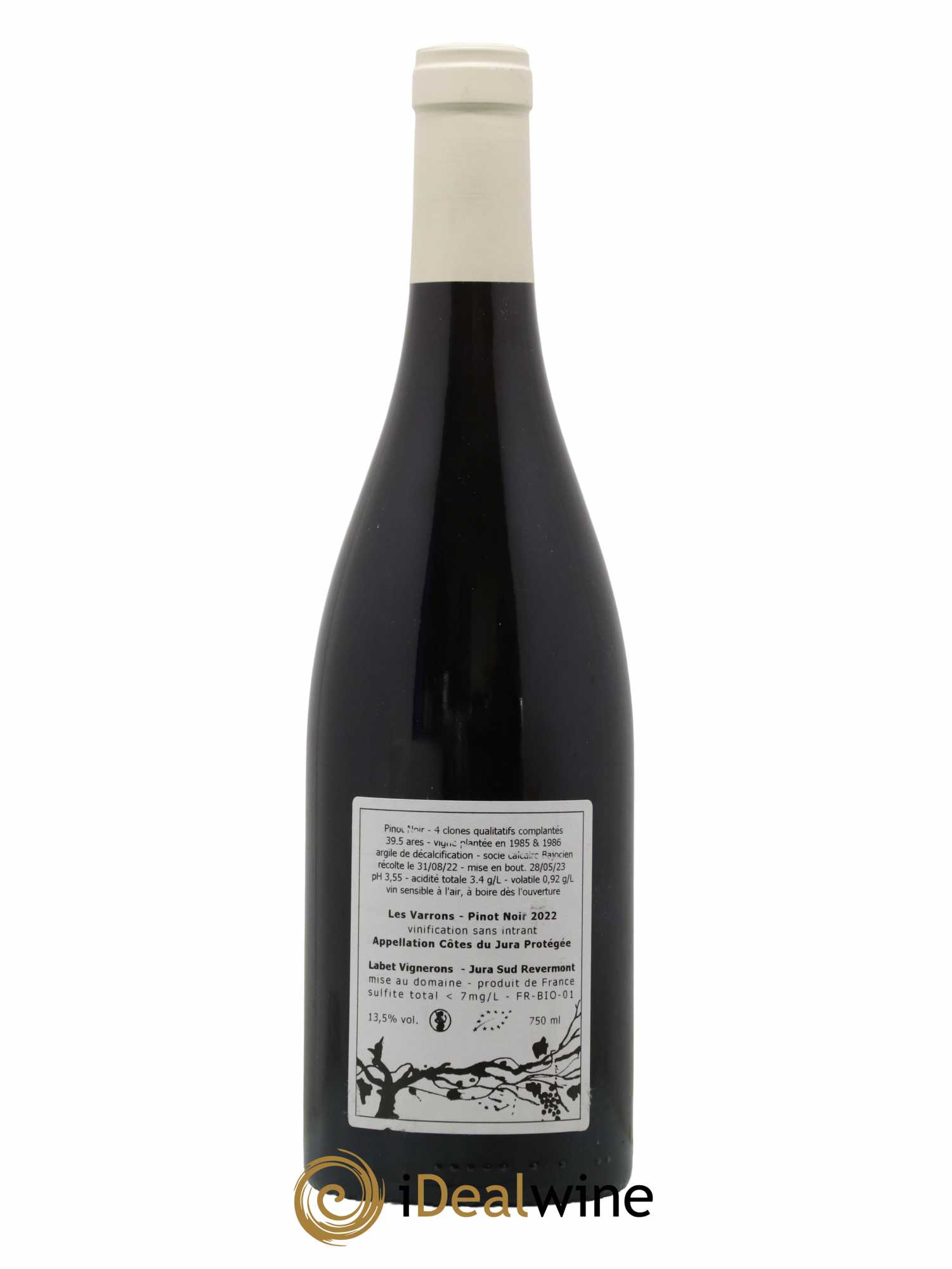 Côtes du Jura Pinot Noir Les Varrons Sélection Massale Romain - Julien  - Charline Labet 2022 - Lot de 1 bouteille - 1