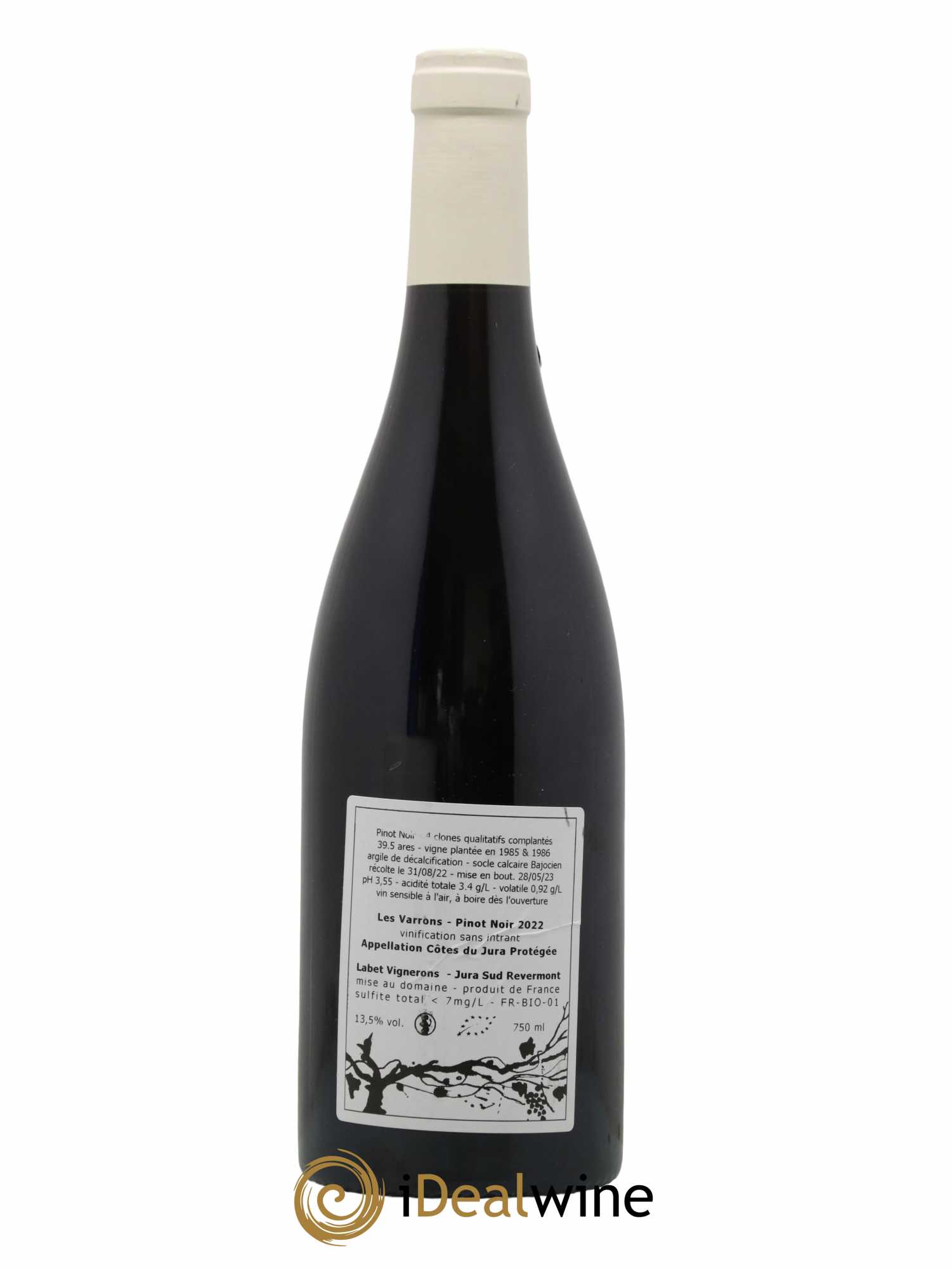 Côtes du Jura Pinot Noir Les Varrons Sélection Massale Romain - Julien - Charline Labet 2022 - Lot de 1 bouteille - 1