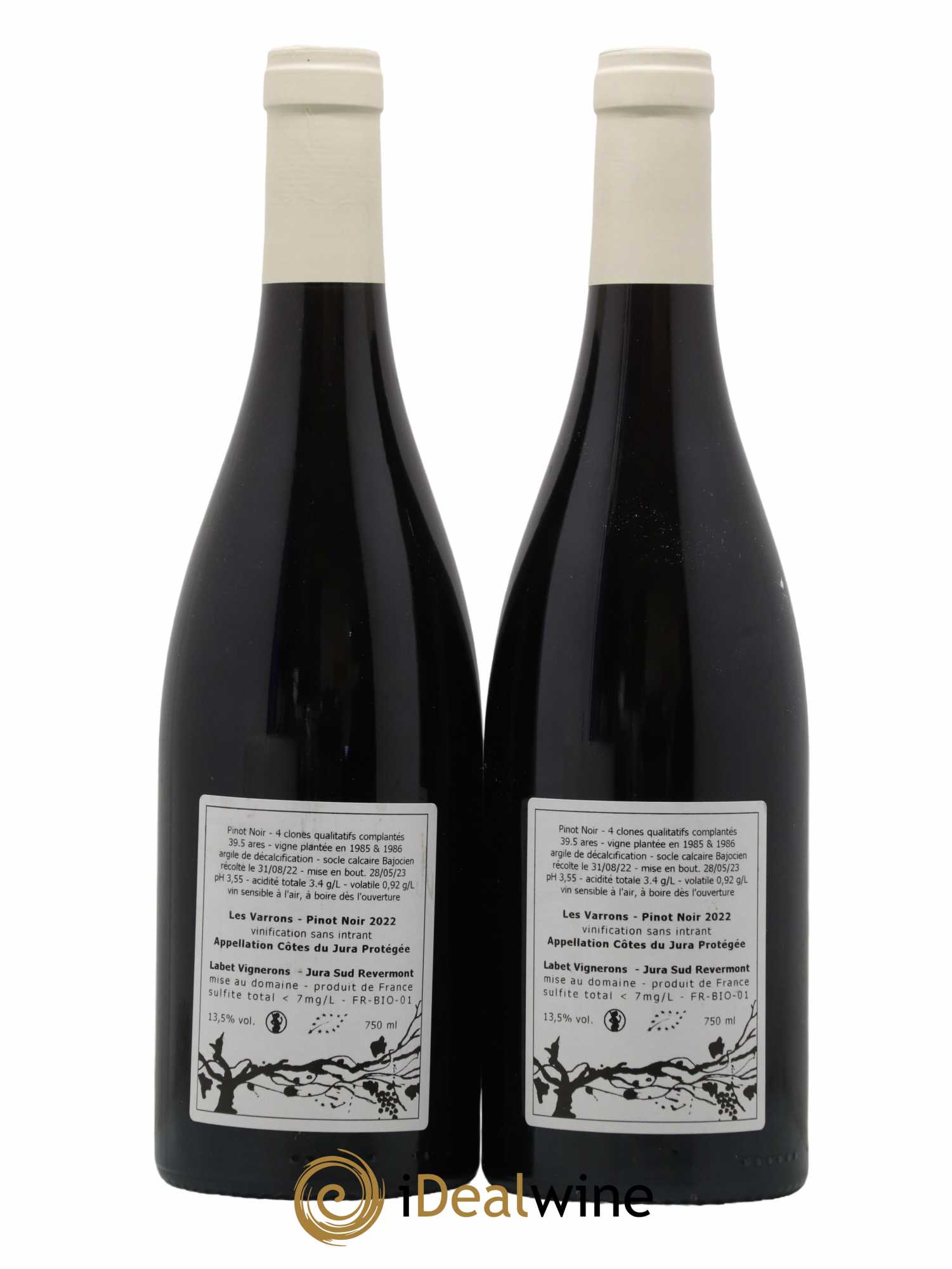Côtes du Jura Pinot Noir Les Varrons Sélection Massale Romain - Julien  - Charline Labet 2022 - Lot de 2 bouteilles - 1