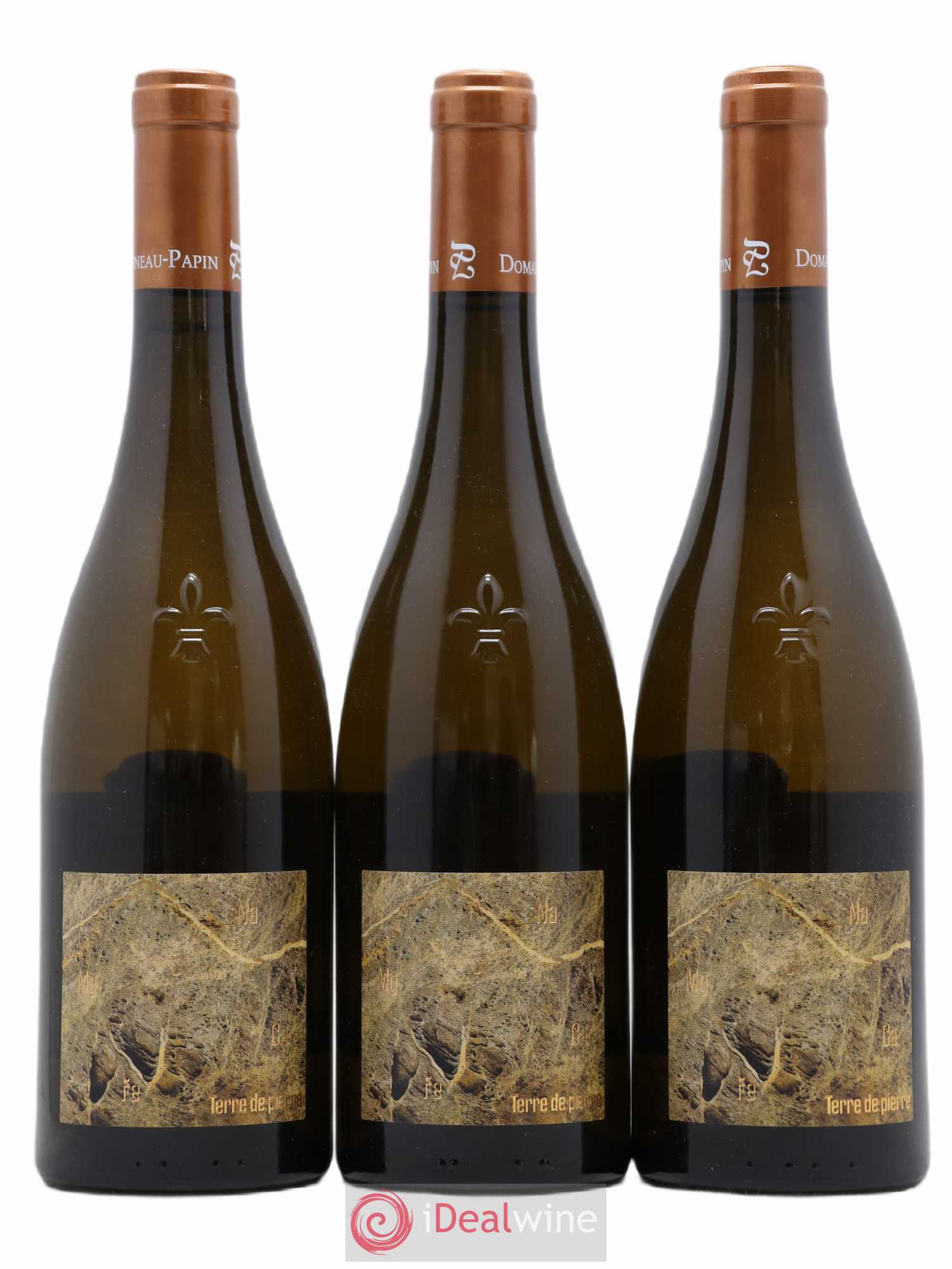 Muscadet-Sèvre-et-Maine sur lie Terre de Pierre Luneau-Papin (sans prix de réserve) 2015 - Lot de 3 bouteilles - 0