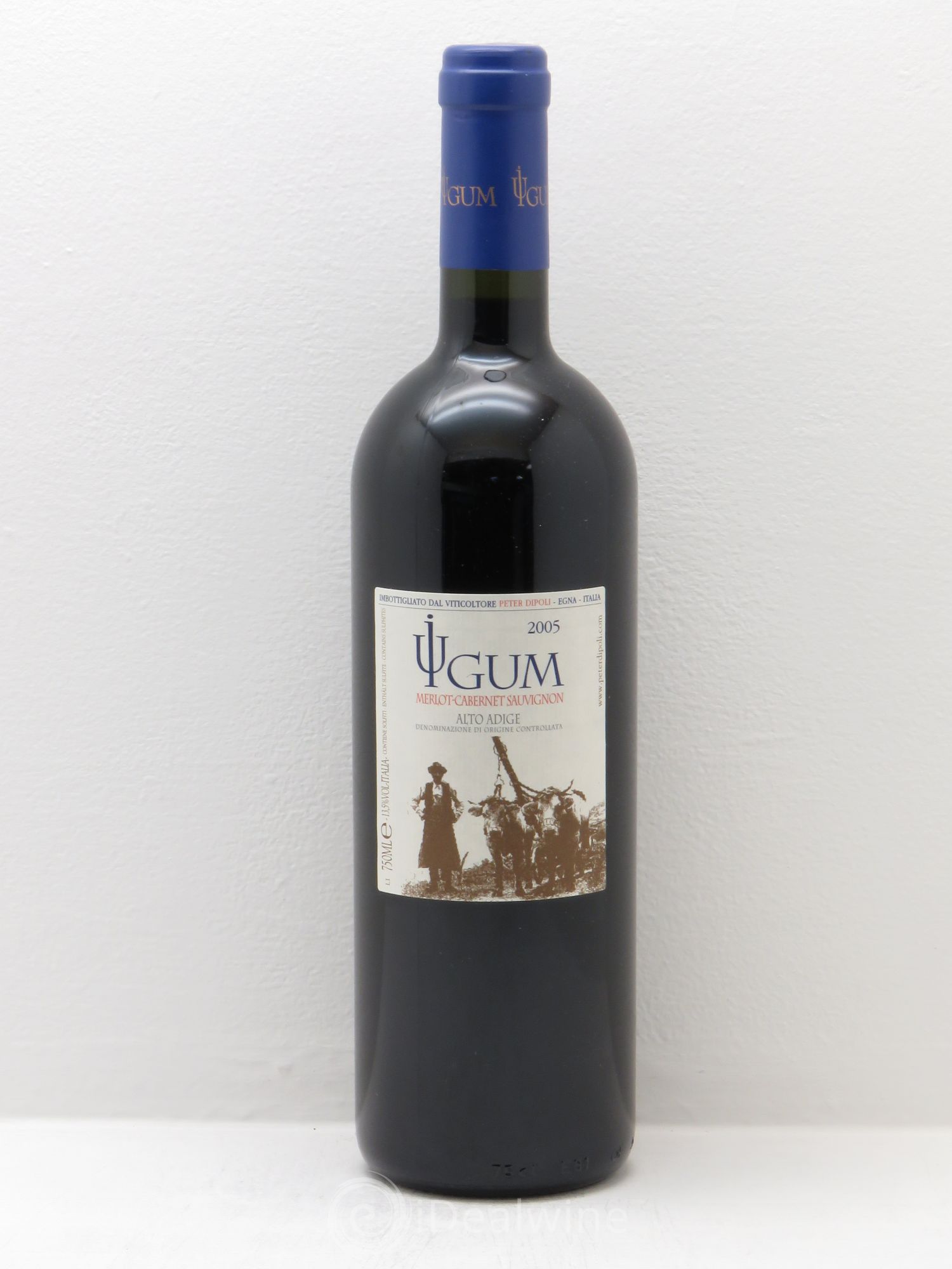 Italie Alto Adige Iugum Peter Dipoli 2005 - Posten von 1 Flasche - 0