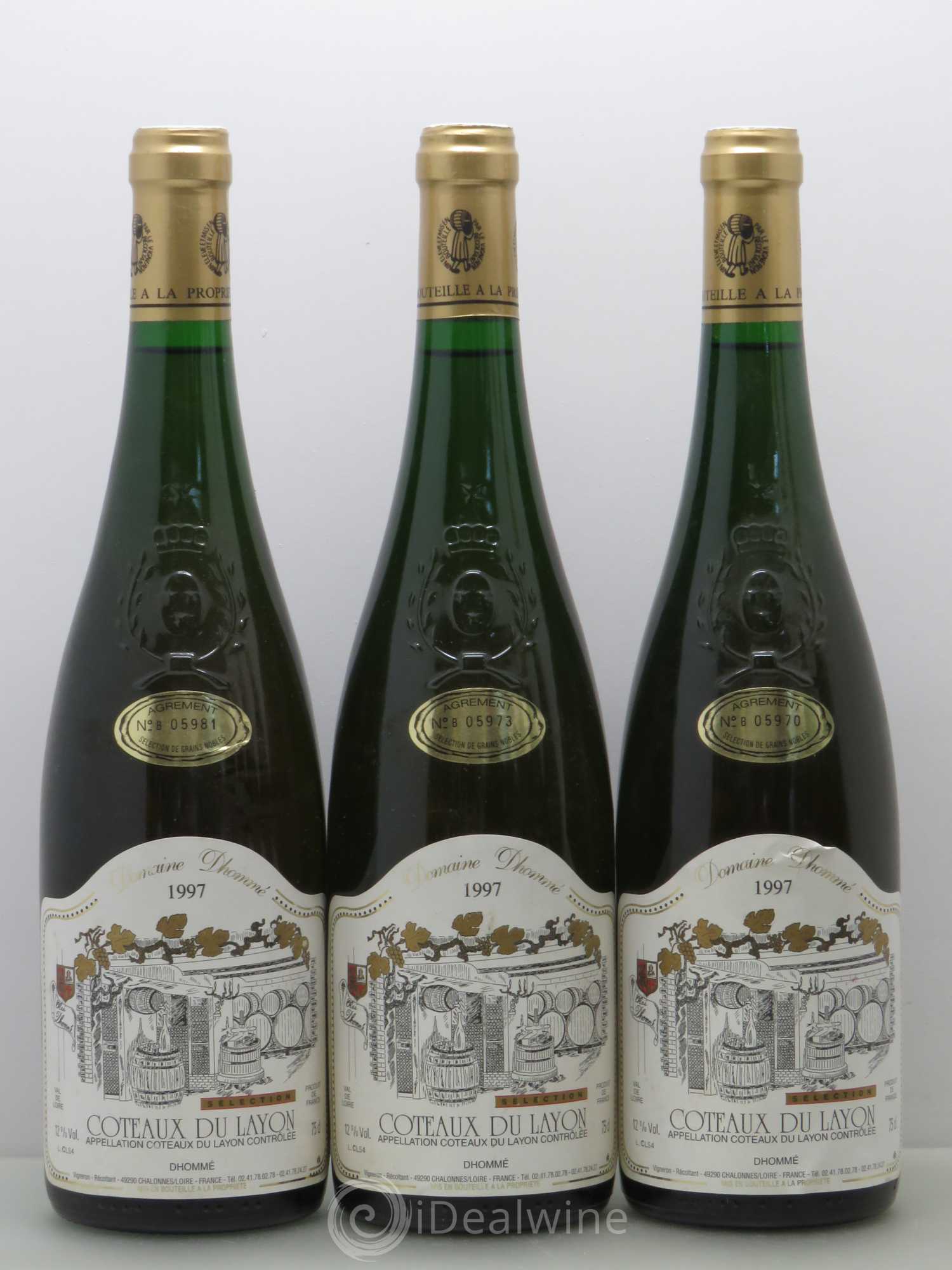 Coteaux du Layon Domaine Dhomme 1997 - Lotto di 6 bottiglie - 1