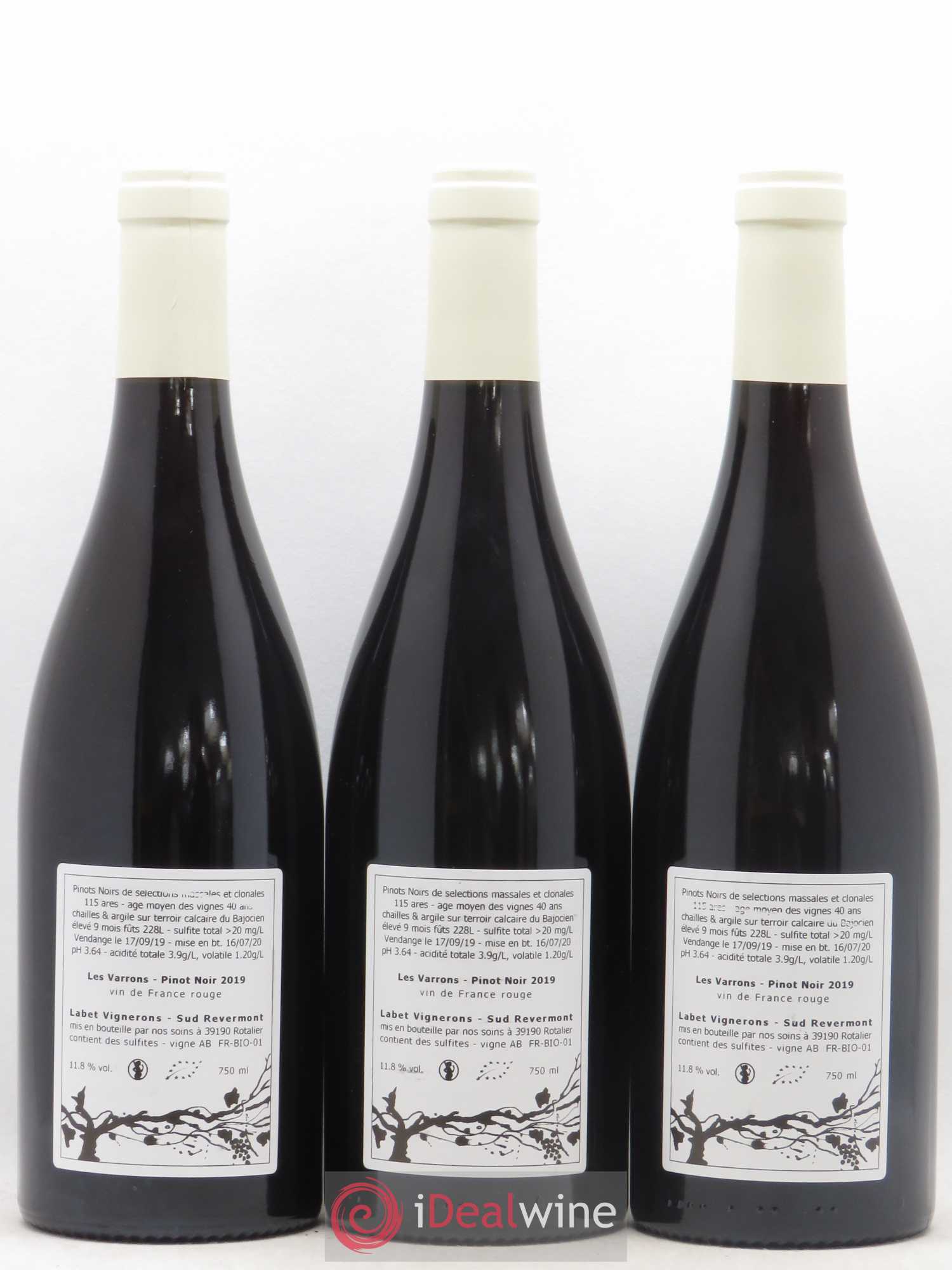 Vin de France Pinot Noir Les Varrons Labet 2019 - Posten von 3 Flaschen - 1