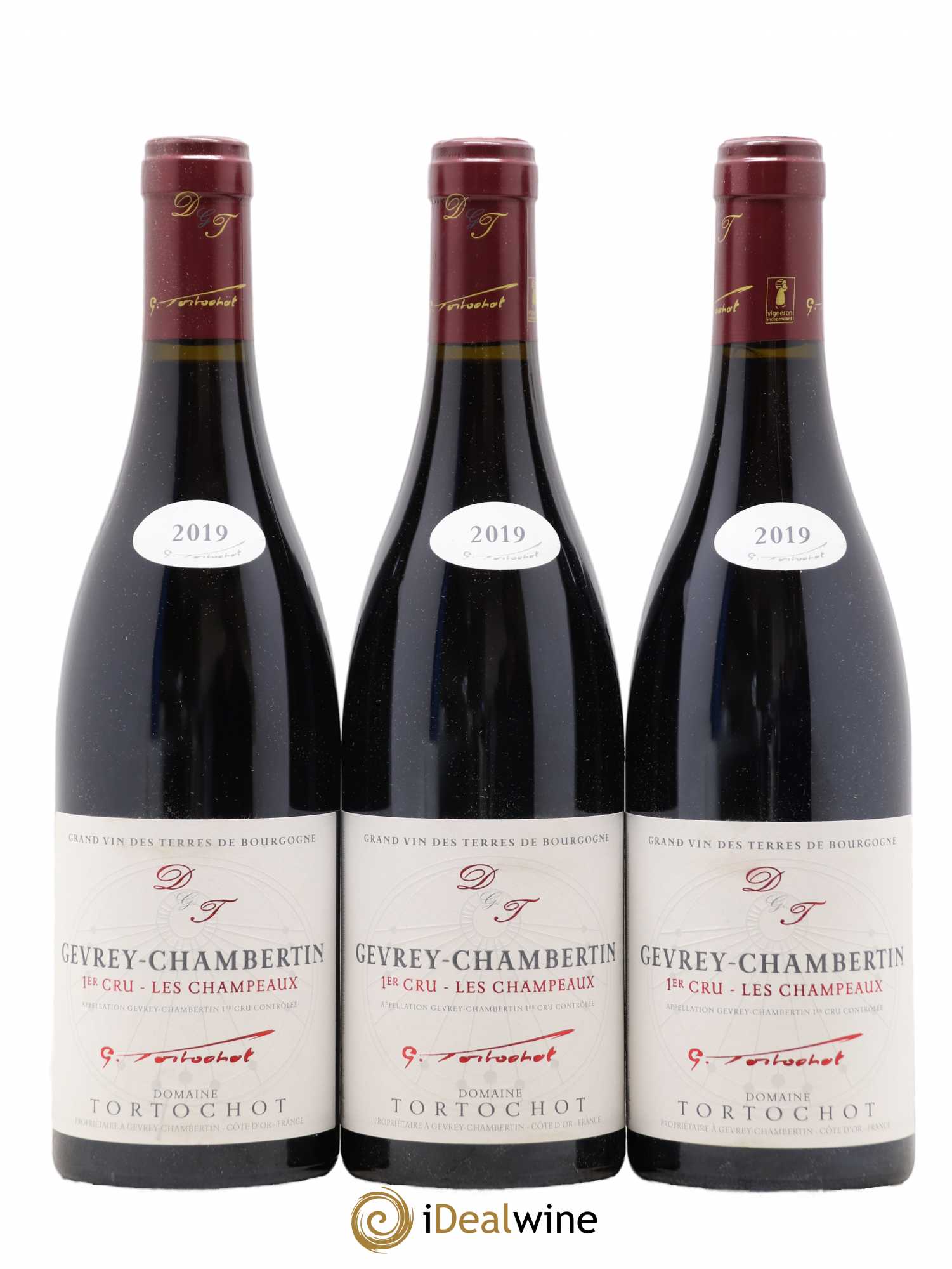 Gevrey-Chambertin 1er Cru Les Champeaux Tortochot (Domaine) 2019 - Lot de 3 bouteilles - 0