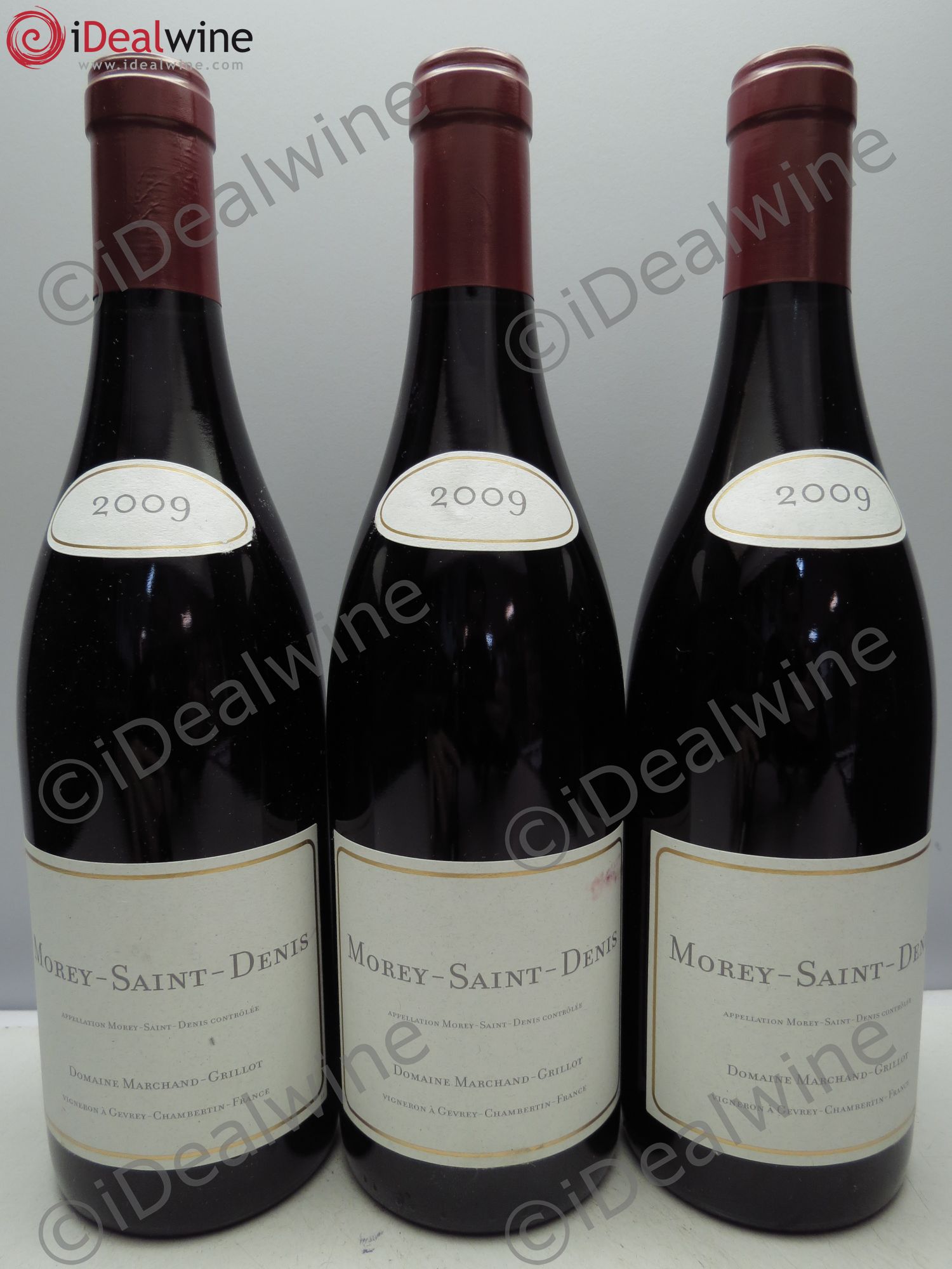 Morey-Saint-Denis Marchand-Grillot (sans prix de réserve / no reserve) 2009 - Posten von 3 Flaschen - 0