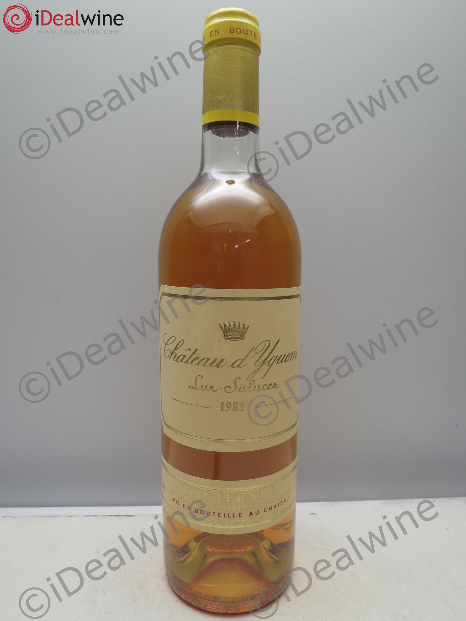 Château d' Yquem 1er Cru Classé Supérieur 1981 - Lotto di 1 bottiglia - 0