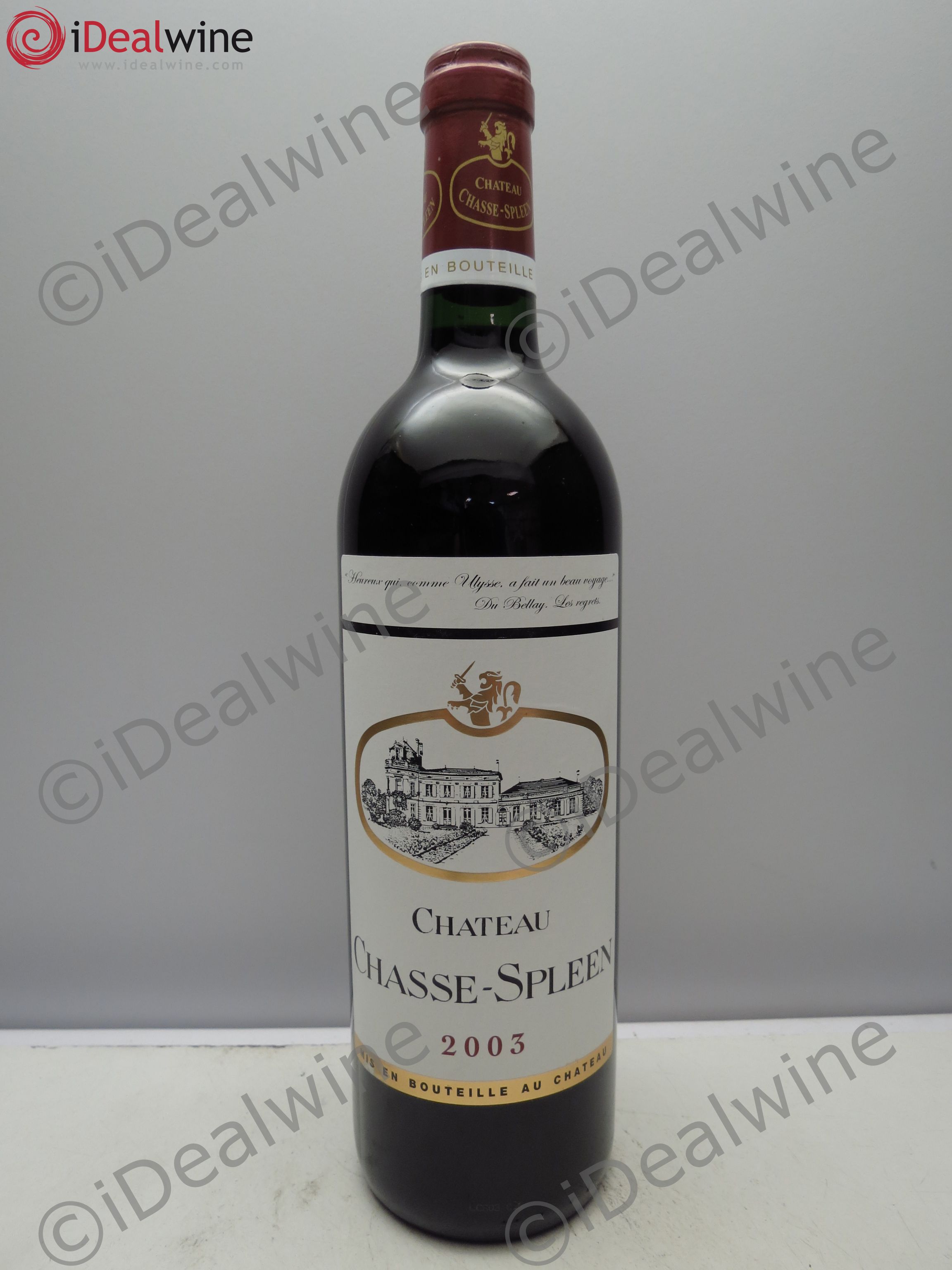 Château Chasse Spleen (sans prix de reserve / no reserve) 2003 - Posten von 1 Flasche - 0