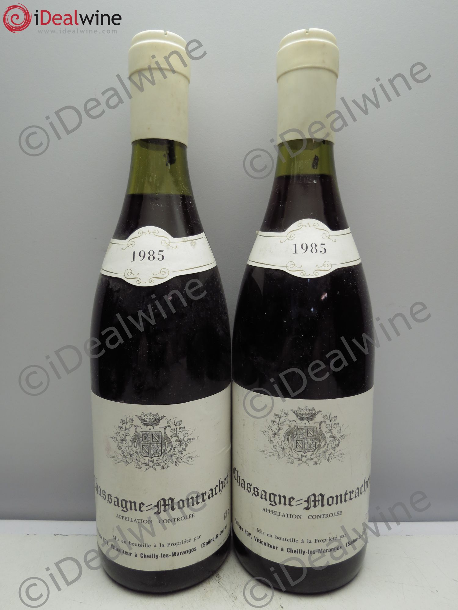 Chassagne-Montrachet P.Roy (sans prix de reserve/no reserve) 1985 - Posten von 2 Flaschen - 0