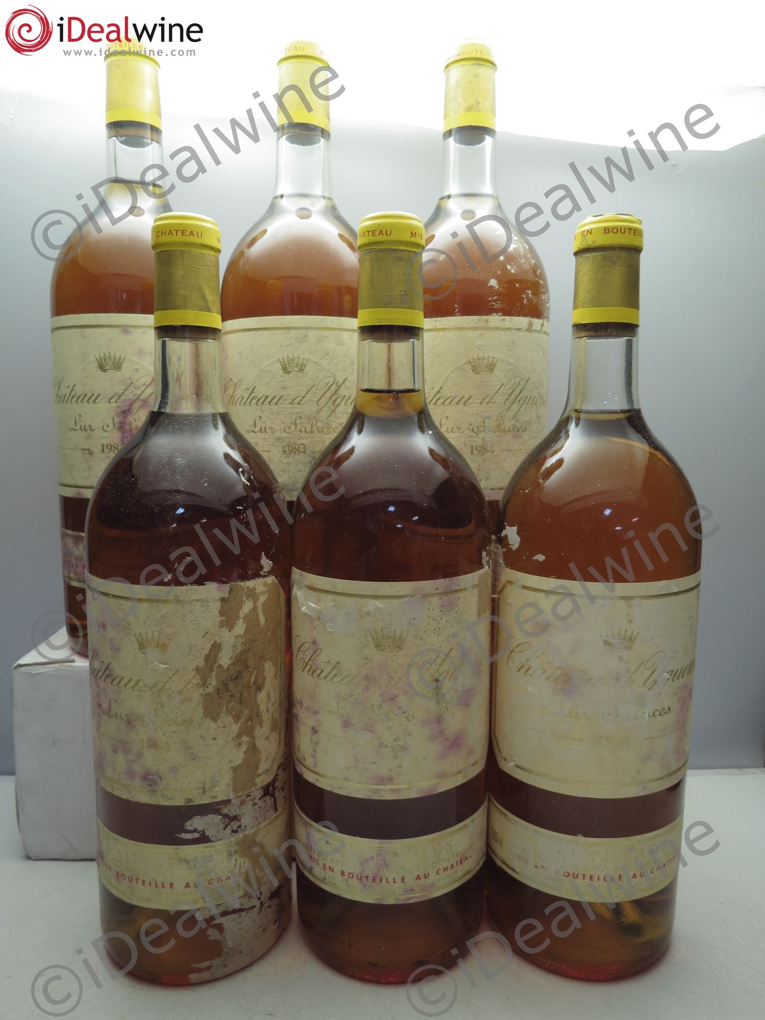Château d' Yquem 1er Cru Classé Supérieur (CBO sans Couvercle) 1984 - Lotto di 6 magnum - 0