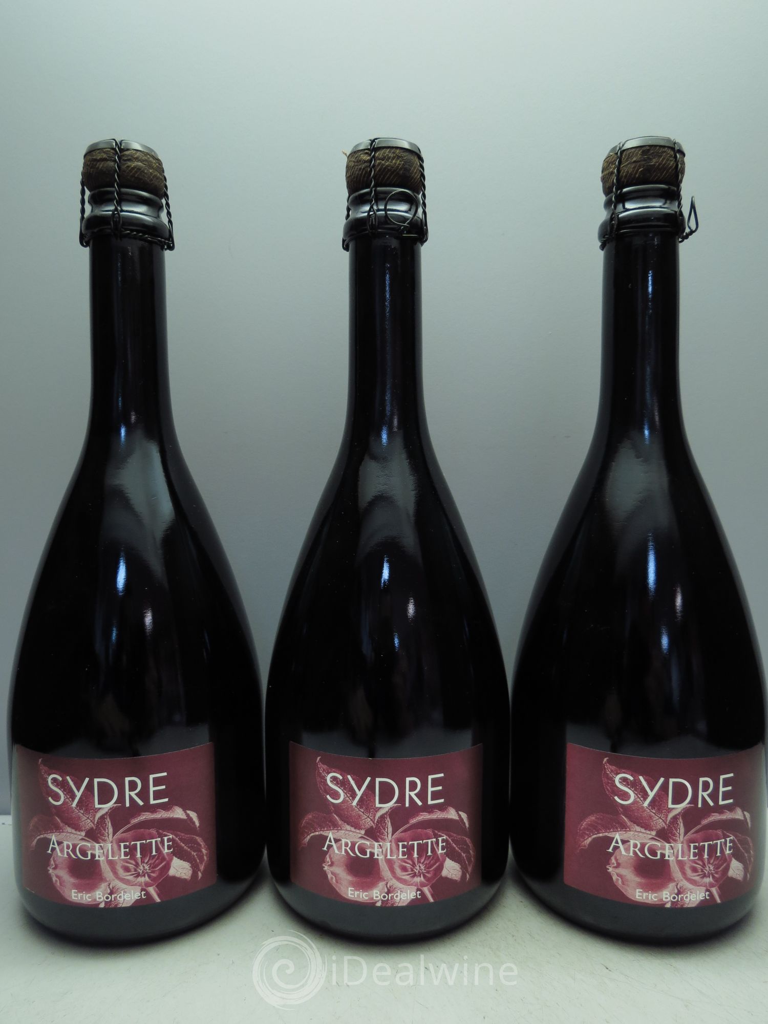 Divers Sydre Grand Cru Argelette - Eric Bordelet - Posten von 3 Flaschen - 0