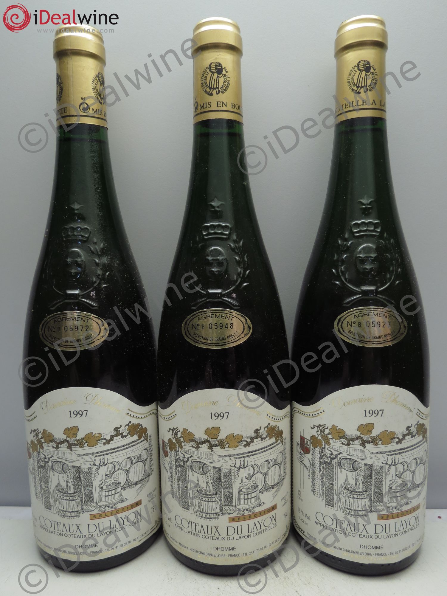 Coteaux du Layon Domaine Dhommé (sans prix de reserve/no reserve) 1997 - Lotto di 3 bottiglie - 0