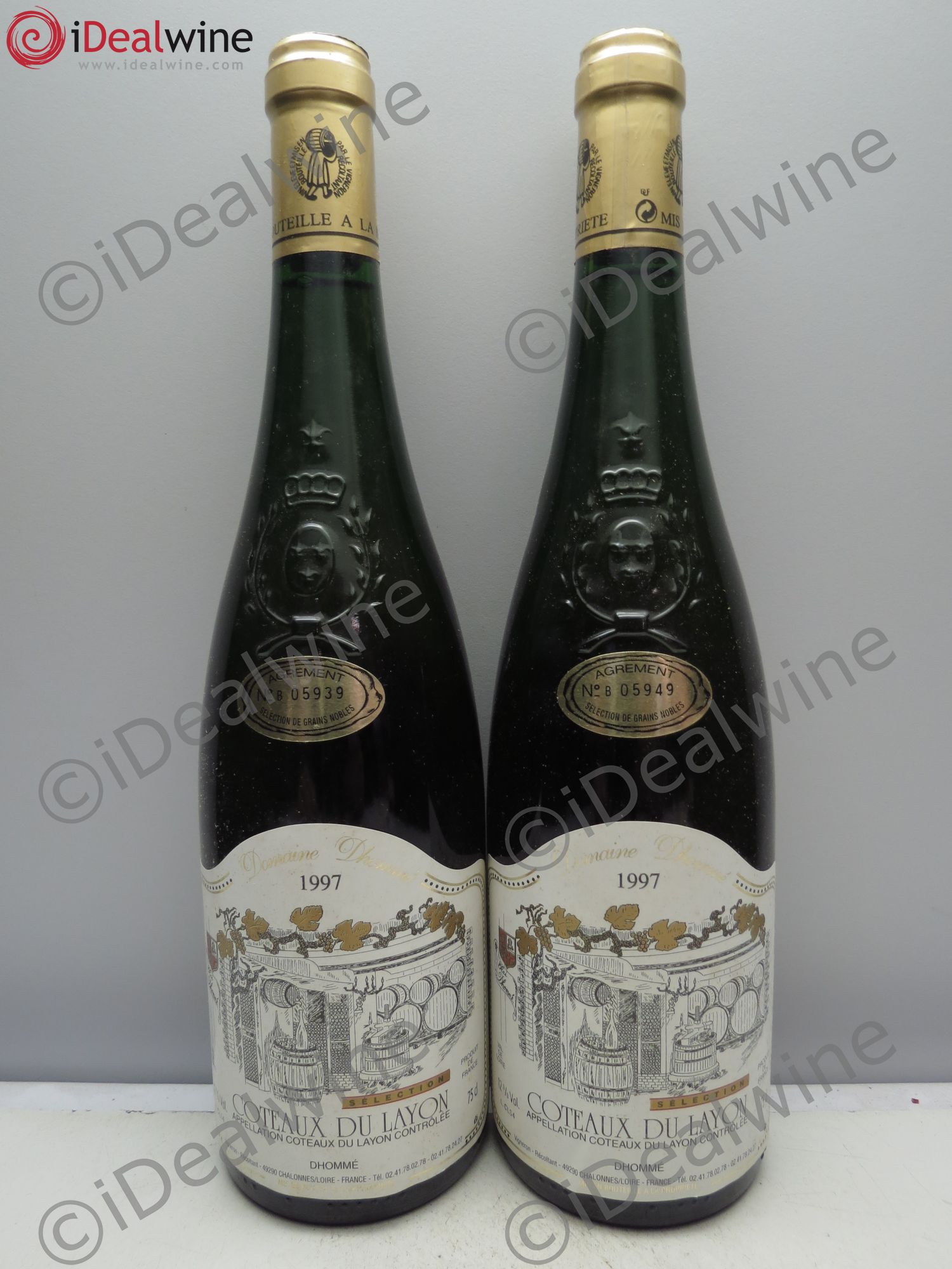 Coteaux du Layon Domaine Dhommé (sans prix de réserve / no reserve) 1997 - Lotto di 2 bottiglie - 0