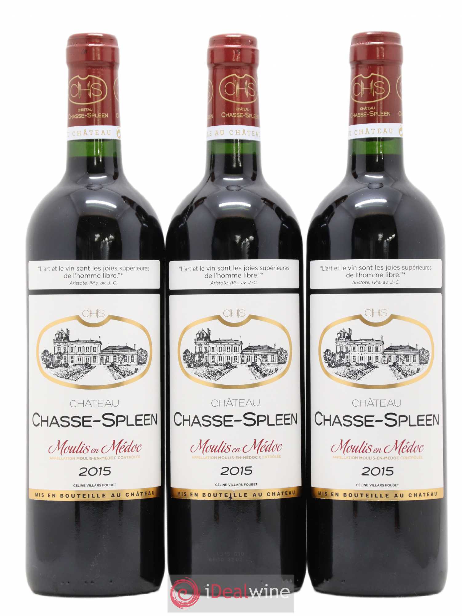 Château Chasse Spleen 2015 - Lot de 12 bouteilles - 1