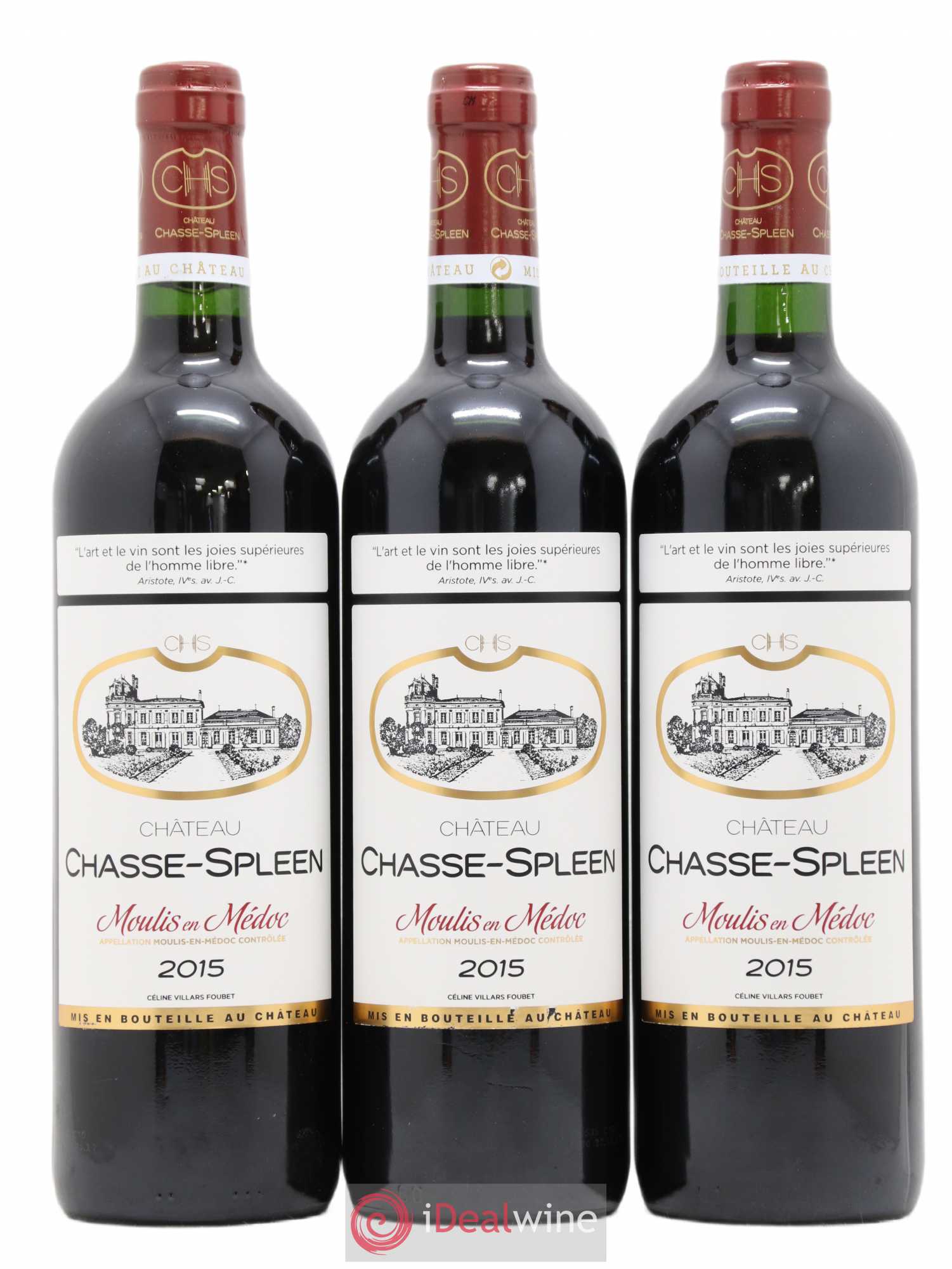 Château Chasse Spleen 2015 - Lot de 12 bouteilles - 2