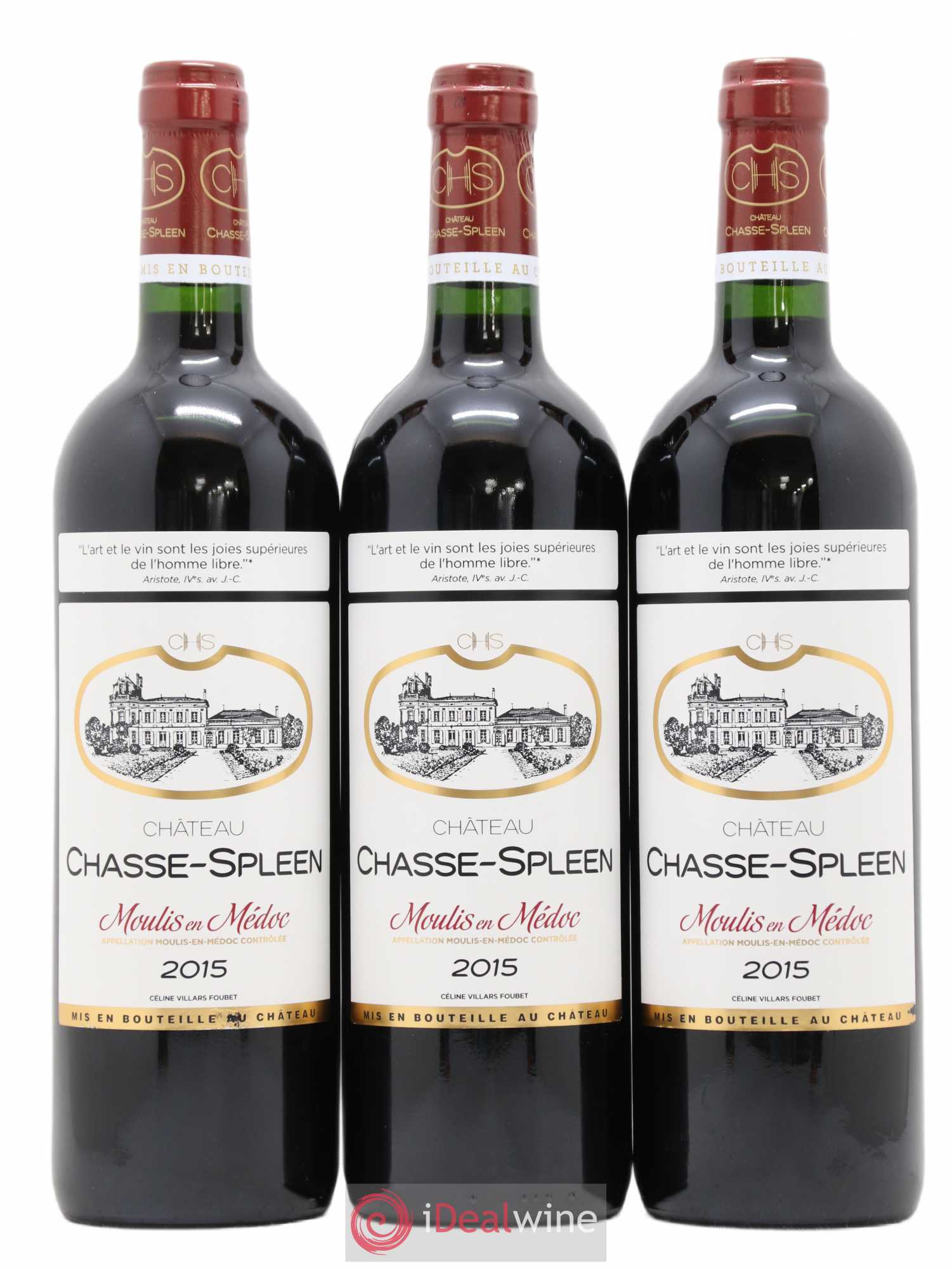 Château Chasse Spleen 2015 - Lot de 12 bouteilles - 4